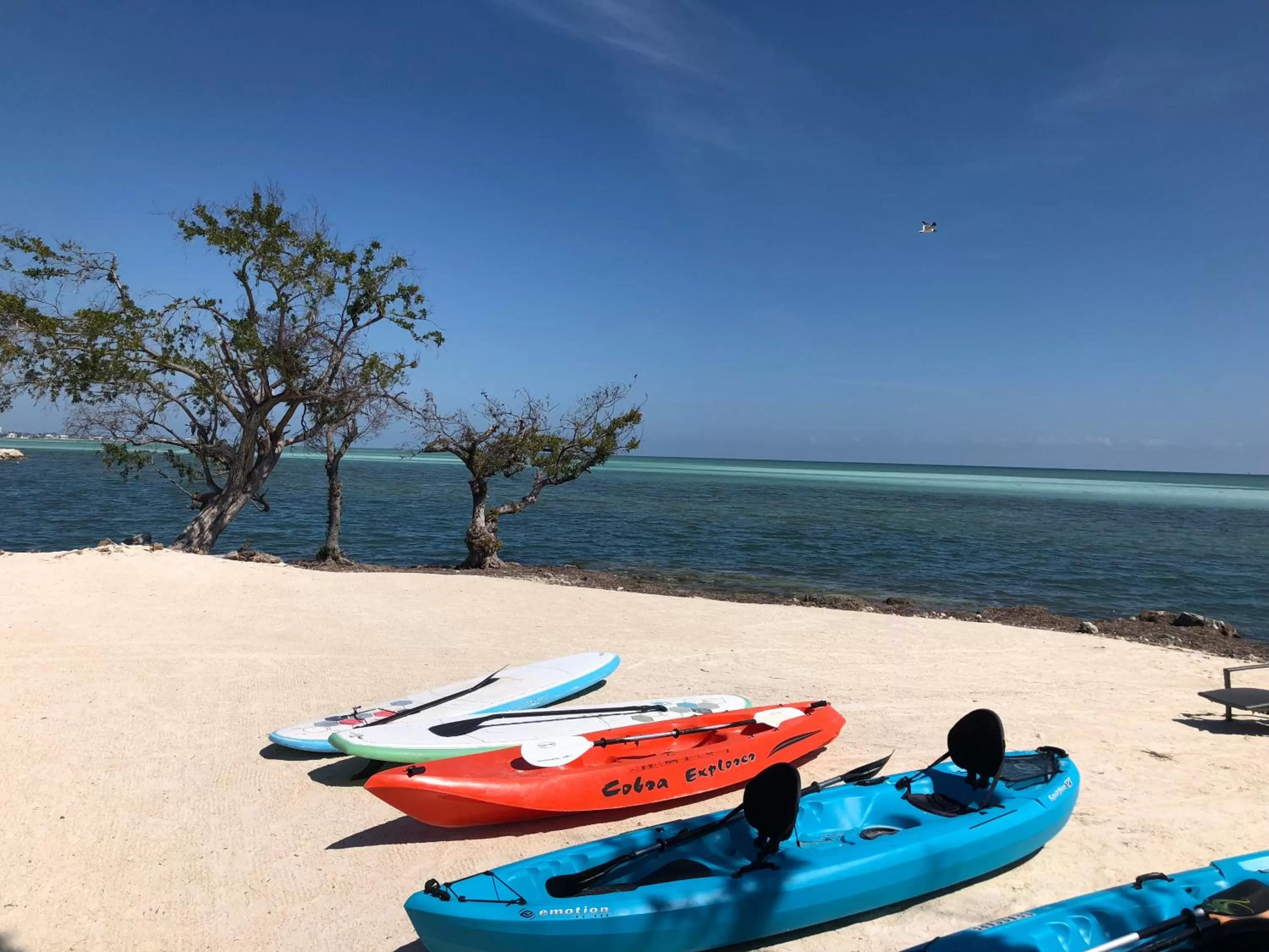 Activities in Seascape Resort & Marina