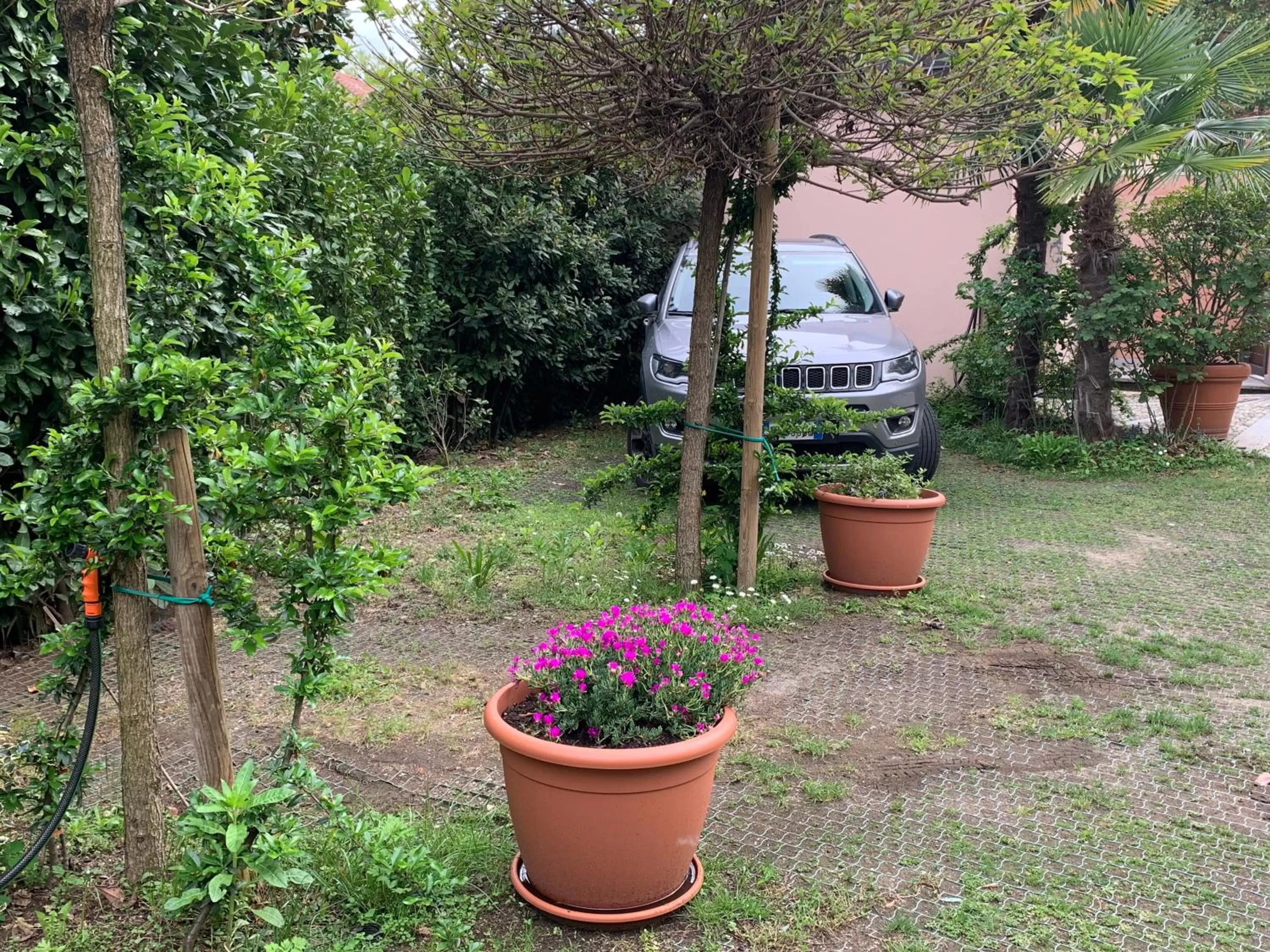 Garden in CASABELLA-LAGO MAGGIORE