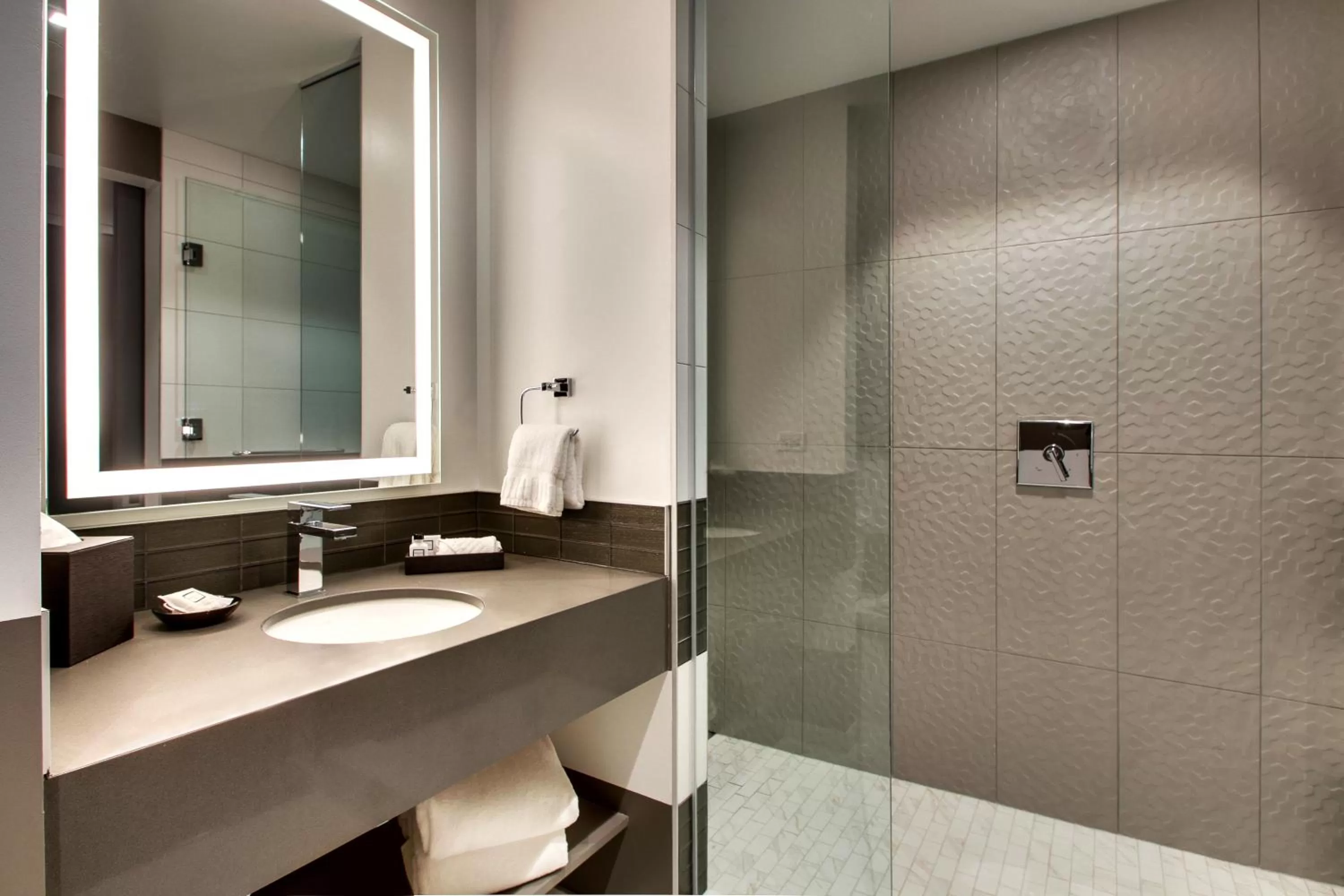 Shower in The Rose Chicago, Tapestry Collection By Hilton