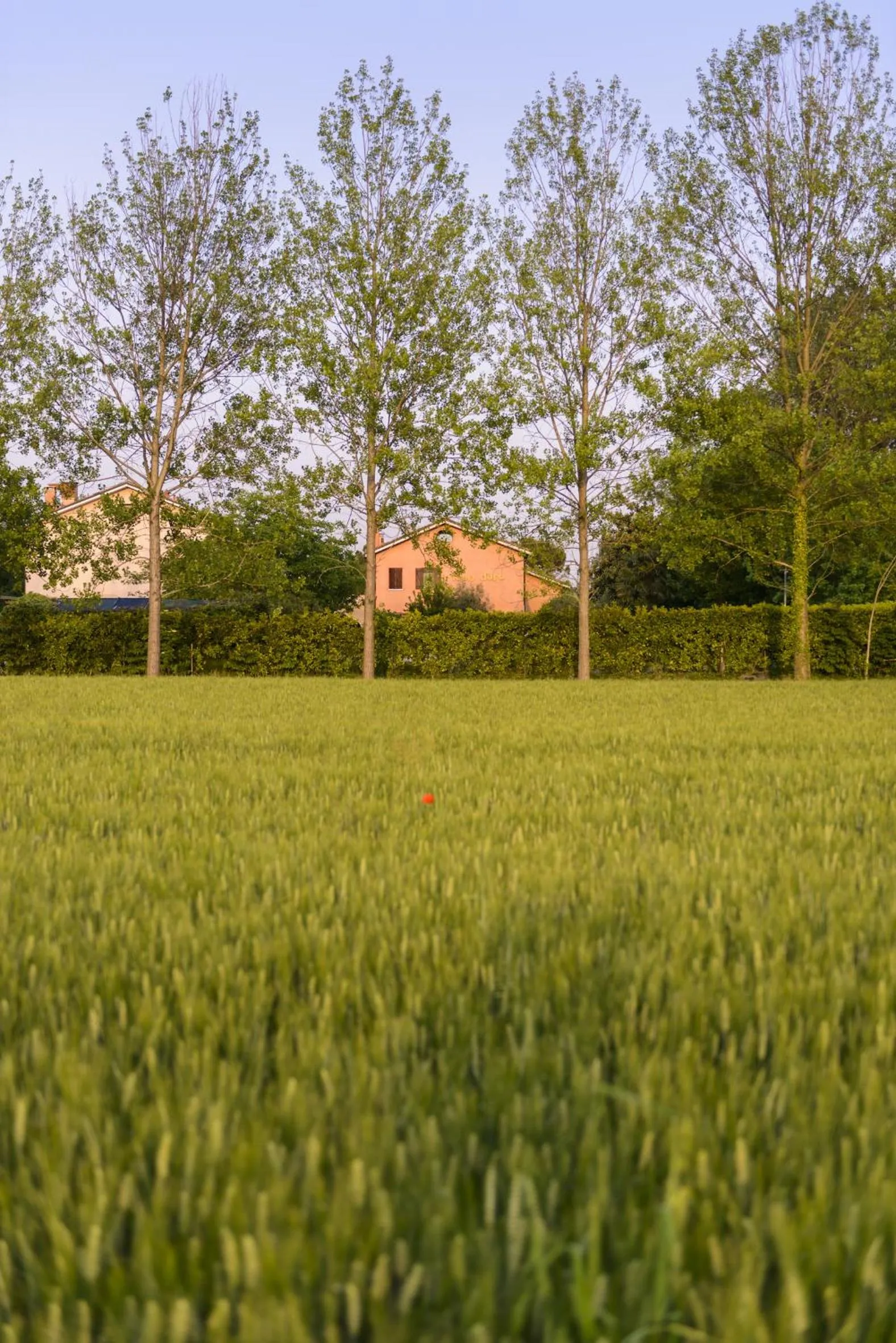 Facade/entrance in Relais Leon d'Oro