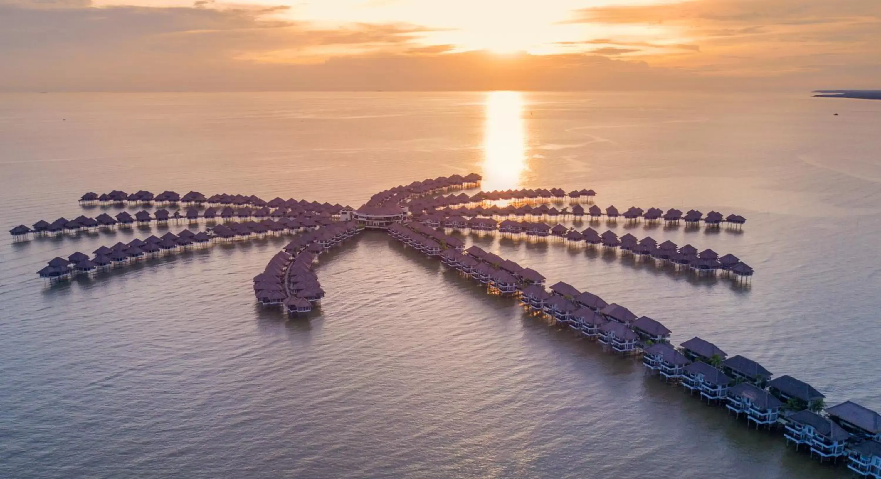 Golden Palm Tree Sepang Golden Palm Tree Sepang