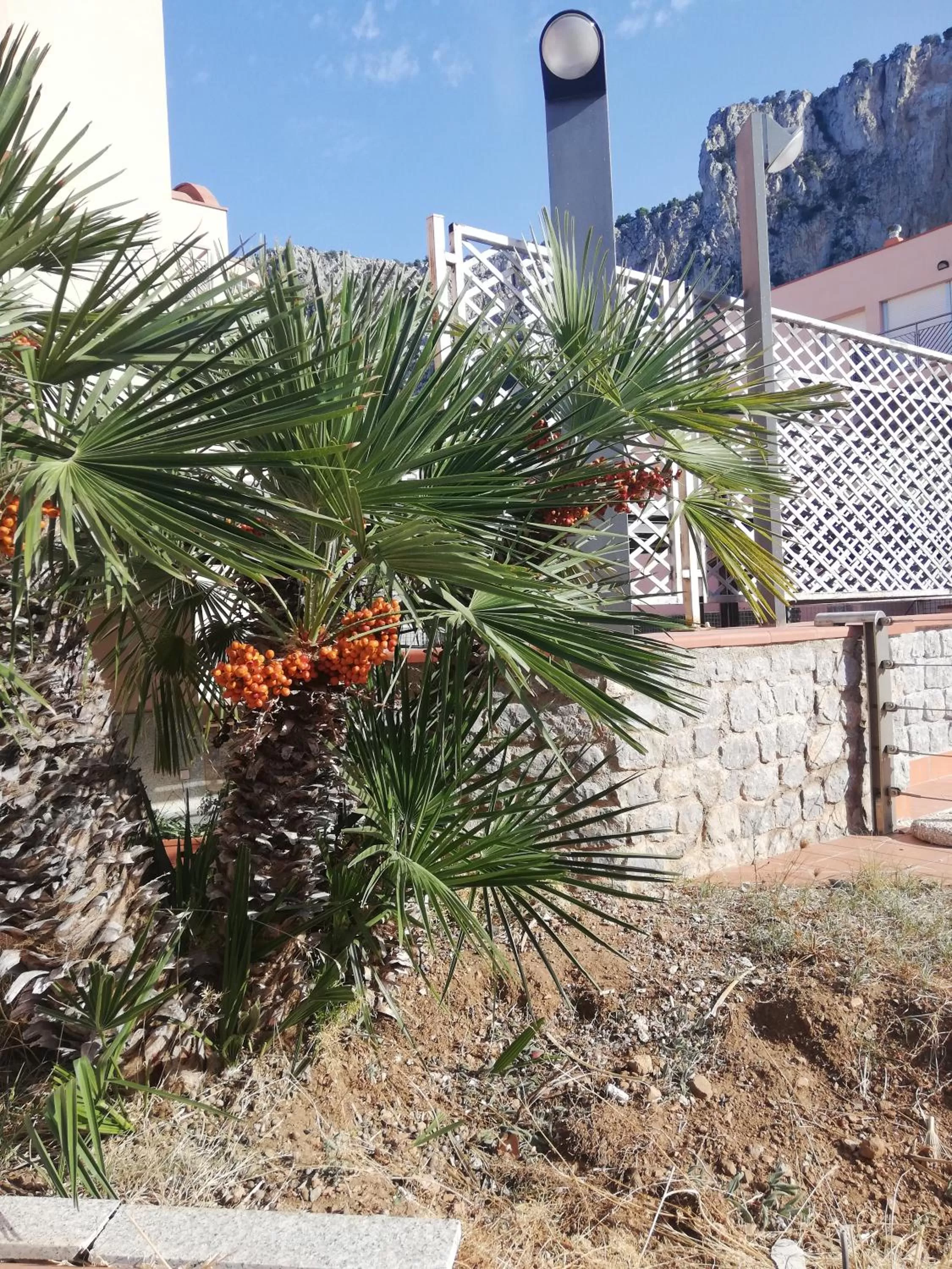 Property building in 215 addaura luxury room