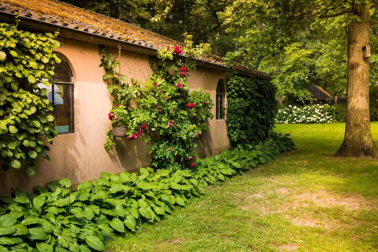 Garden in B&B en SPA Landgoed Matanze