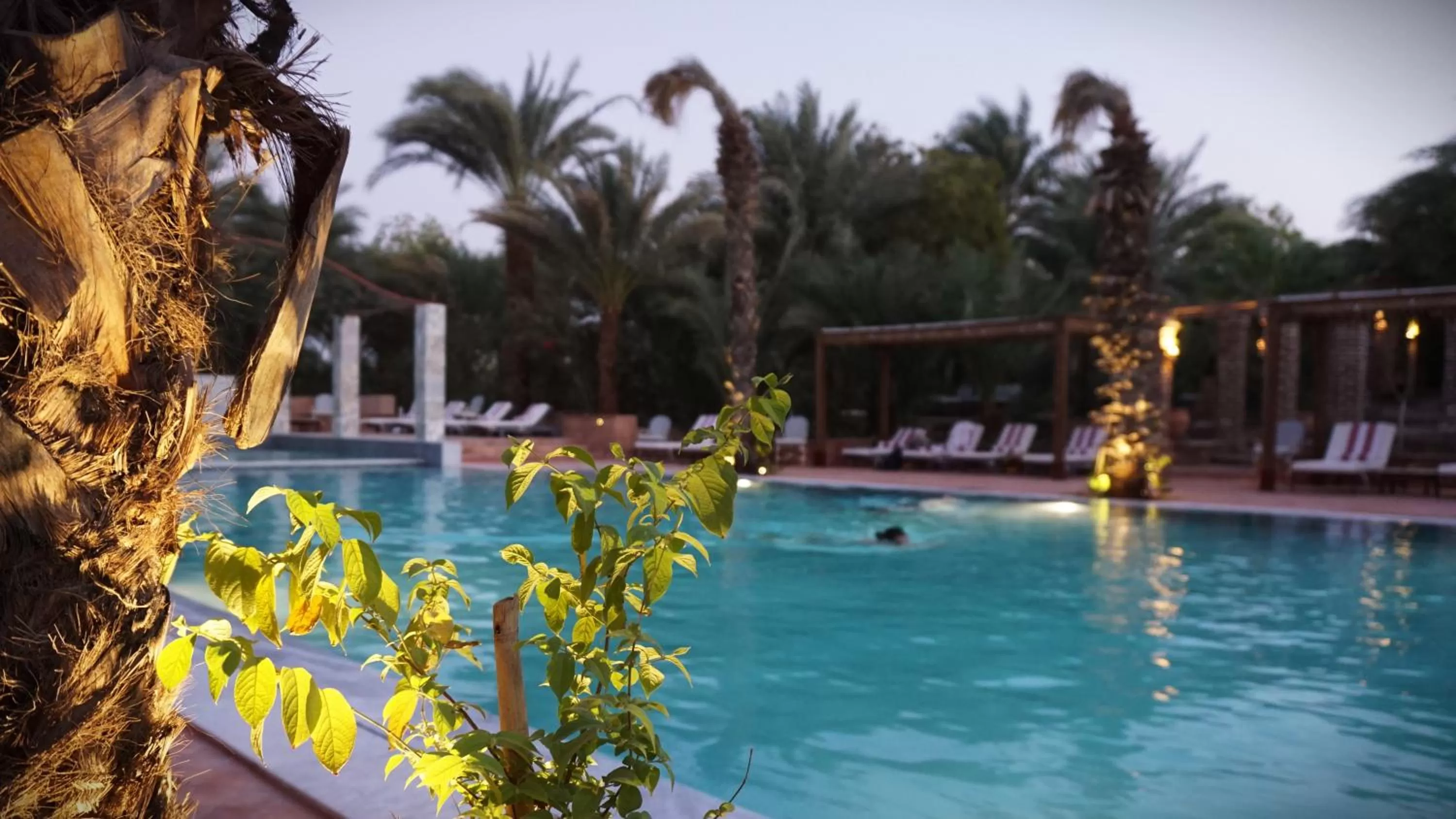 Swimming pool in Al Moudira Hotel