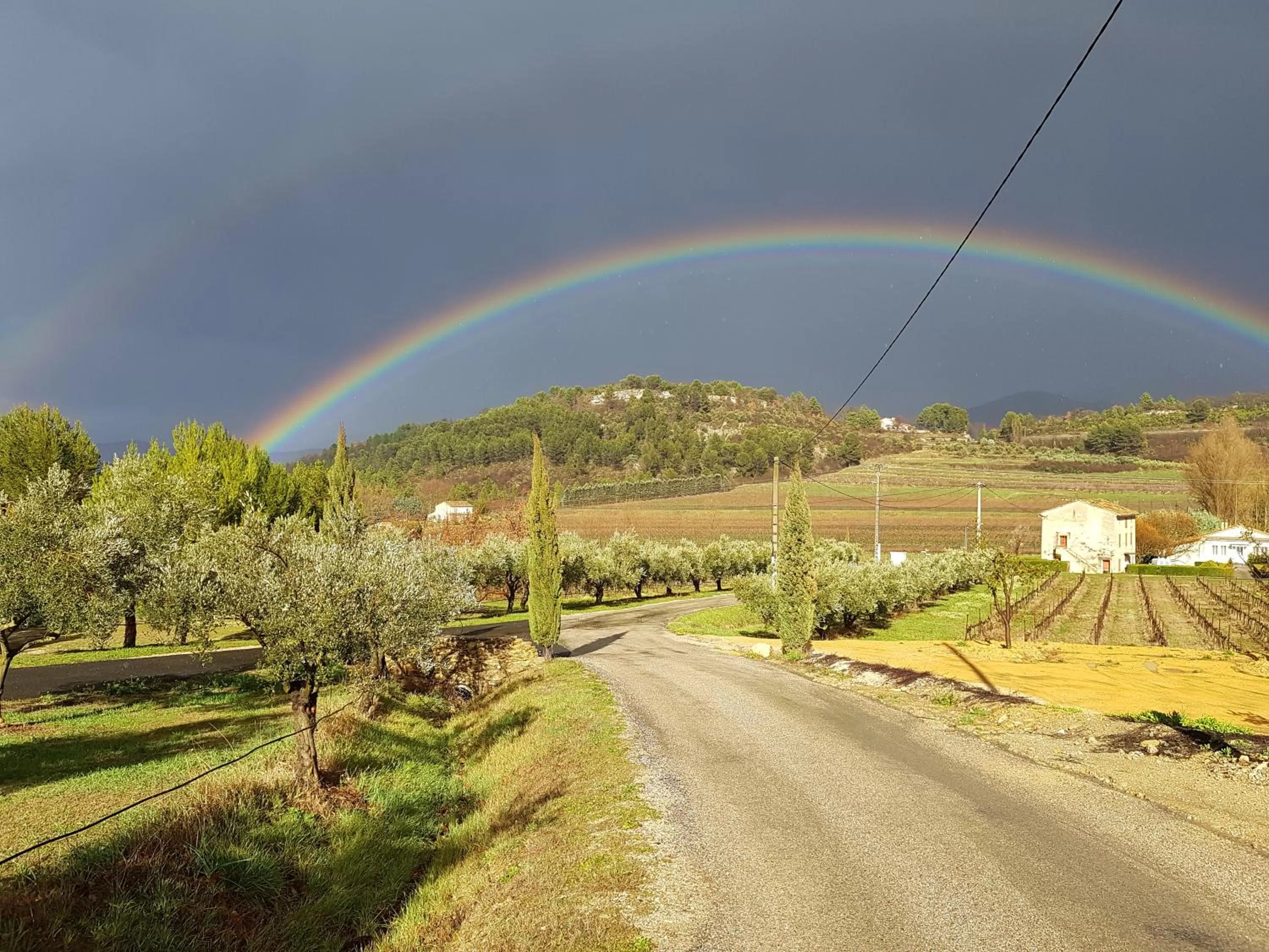 Garden in Clos Saint-Michel Resort & Spa