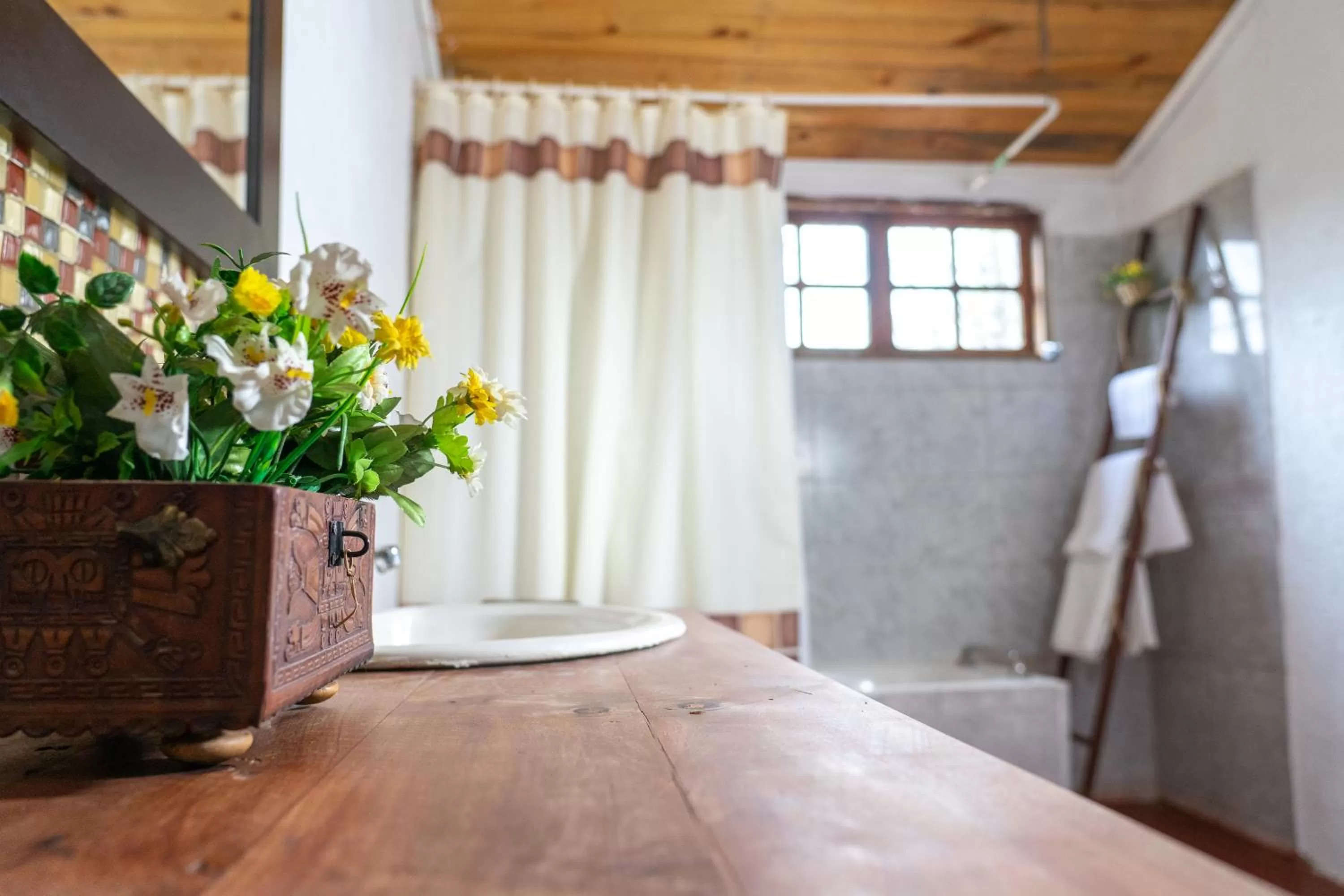 La Casa de Adobe Natural y Más