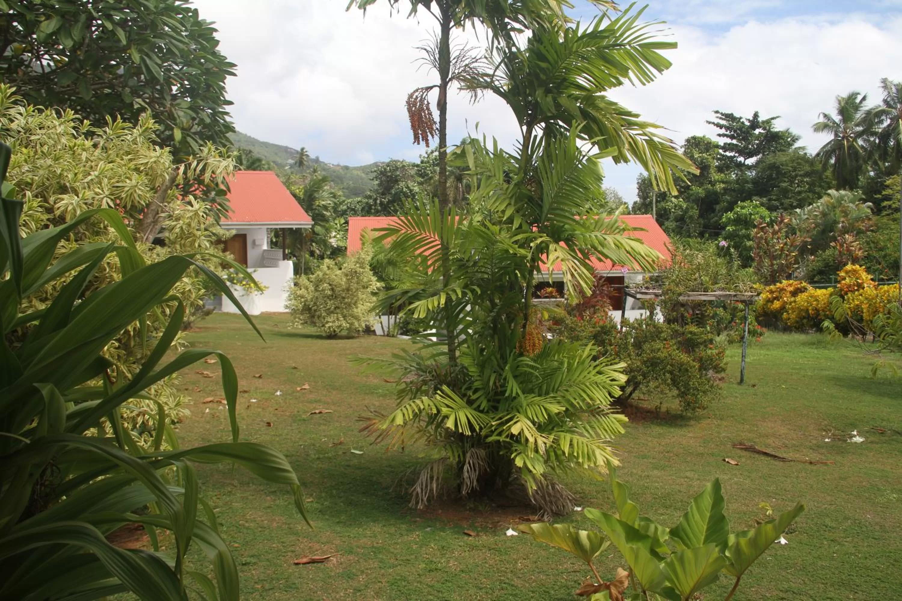 Garden view, Garden in Daniella's Bungalows