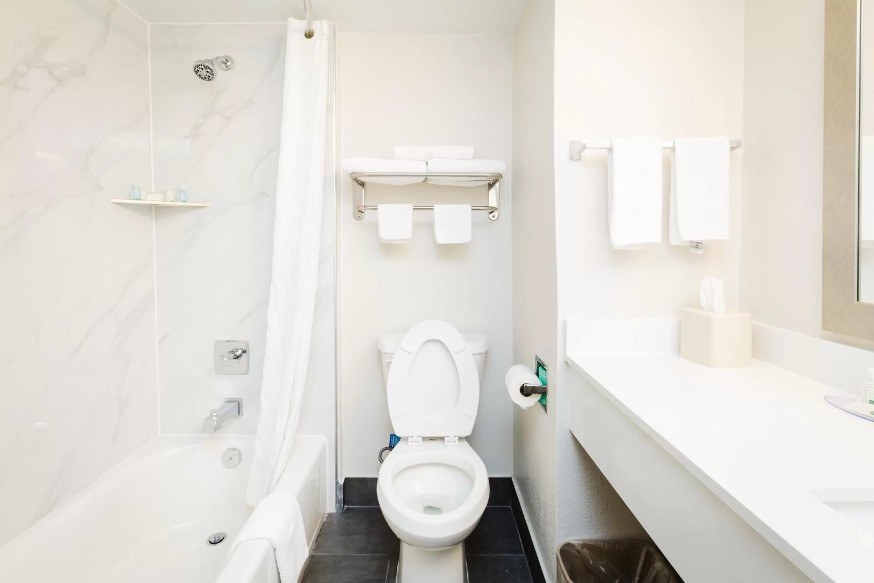 Bathroom in Quality Suites Houston Hobby Airport