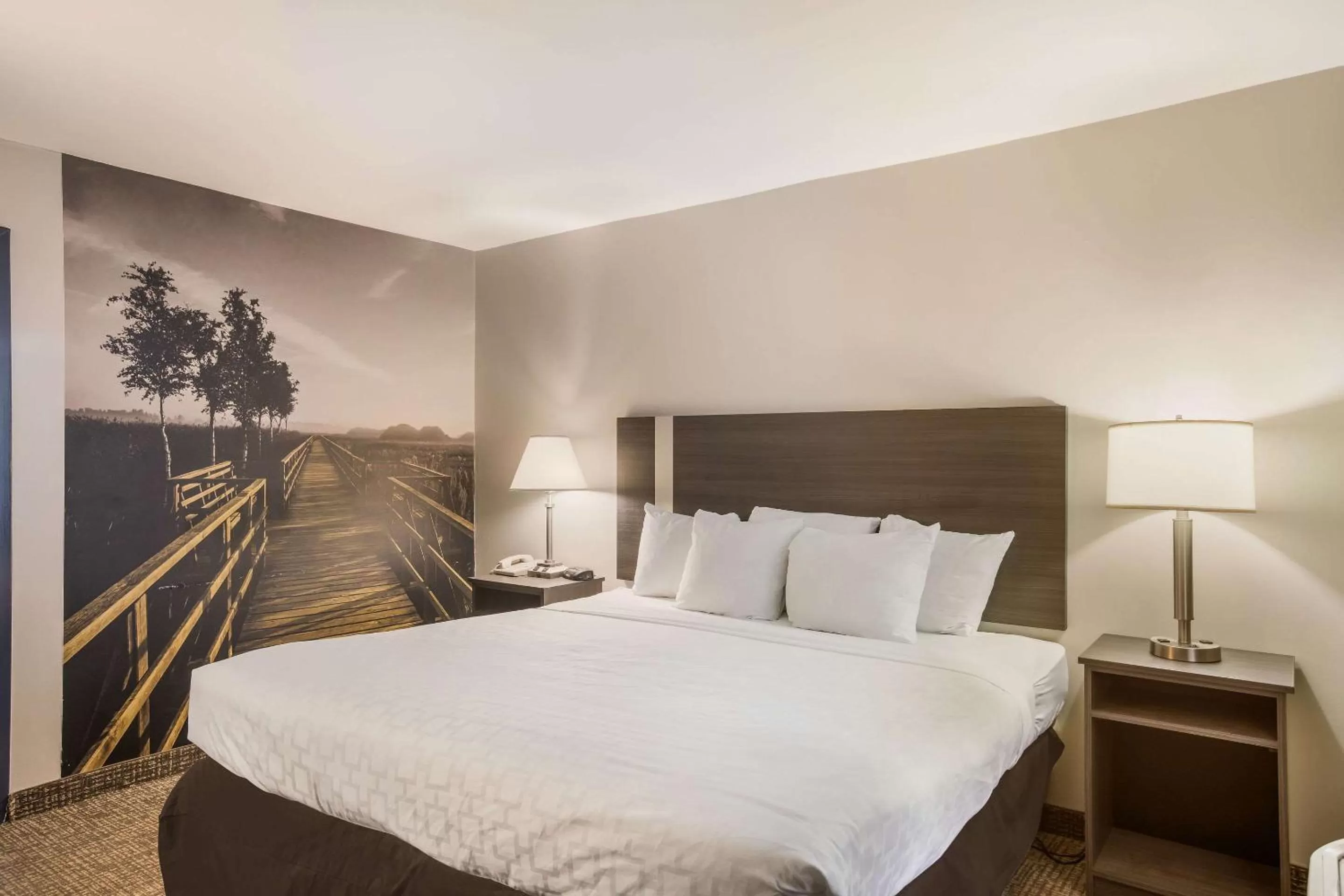 Photo of the whole room, Bed in Clarion Pointe Forsyth I-75