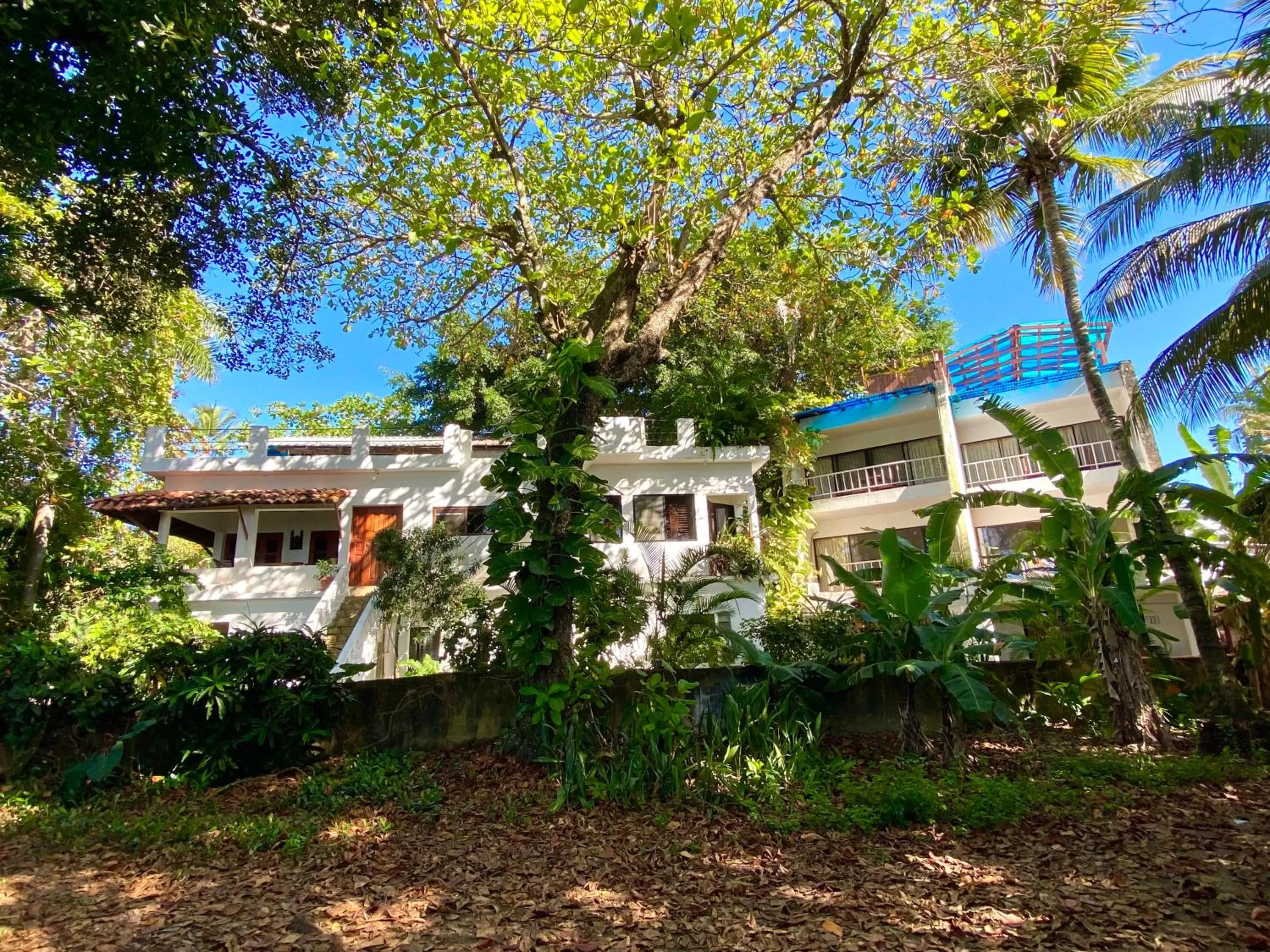 Property building in Hotel Alegria