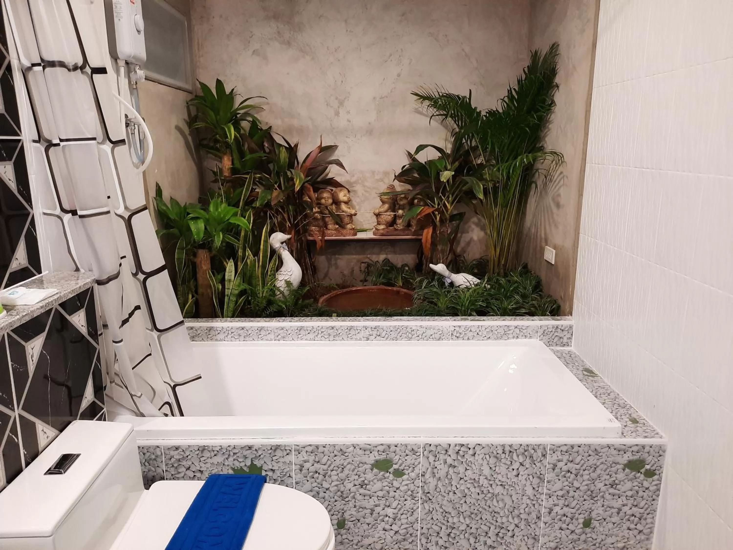 Swimming Pool in Fancy Carp Resort Hua-Hin