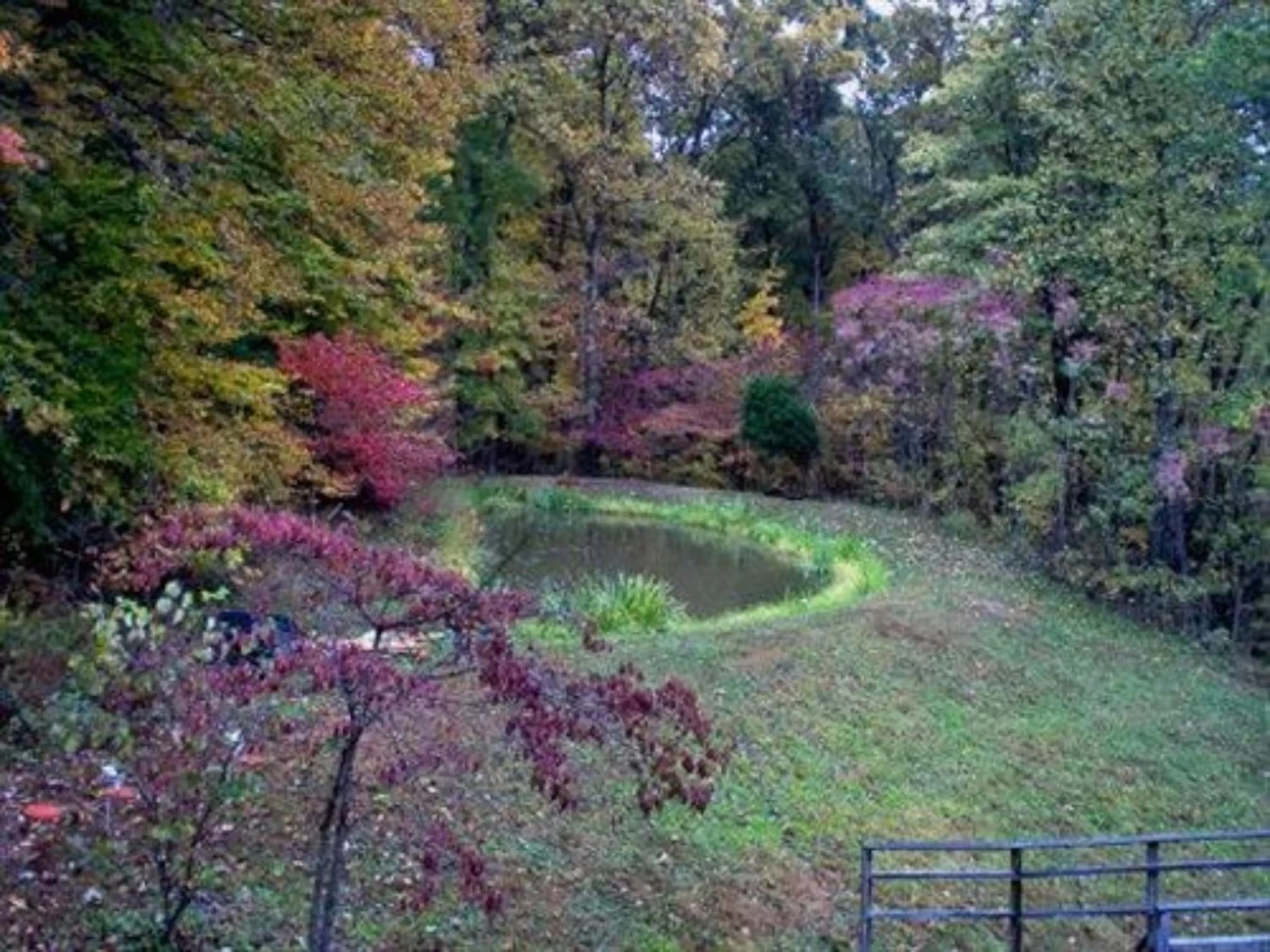 Other in Lil Black Bear Inn