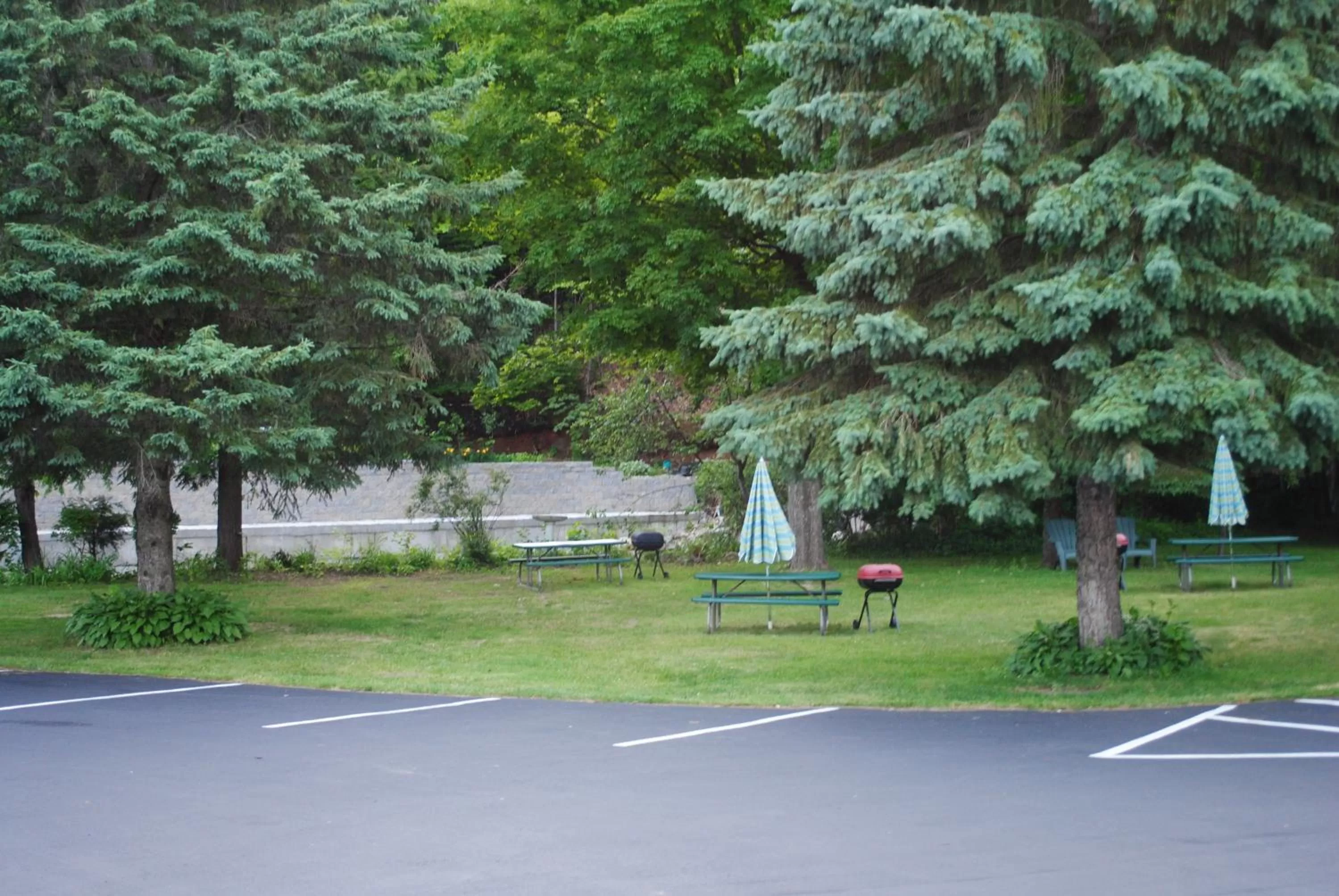 Day in Fran Cove Motel