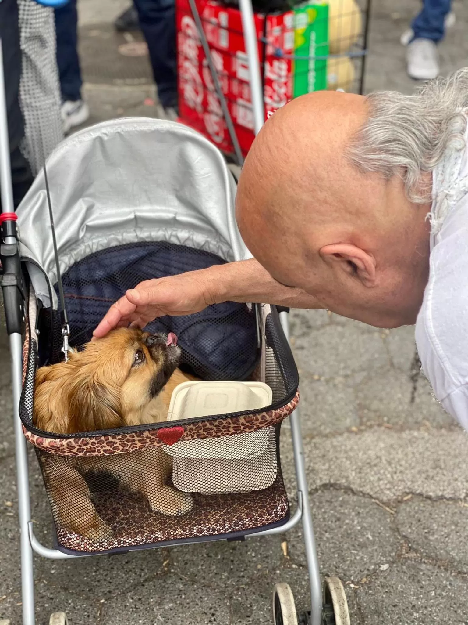 People in New York Spirit Retreats HOSTEL