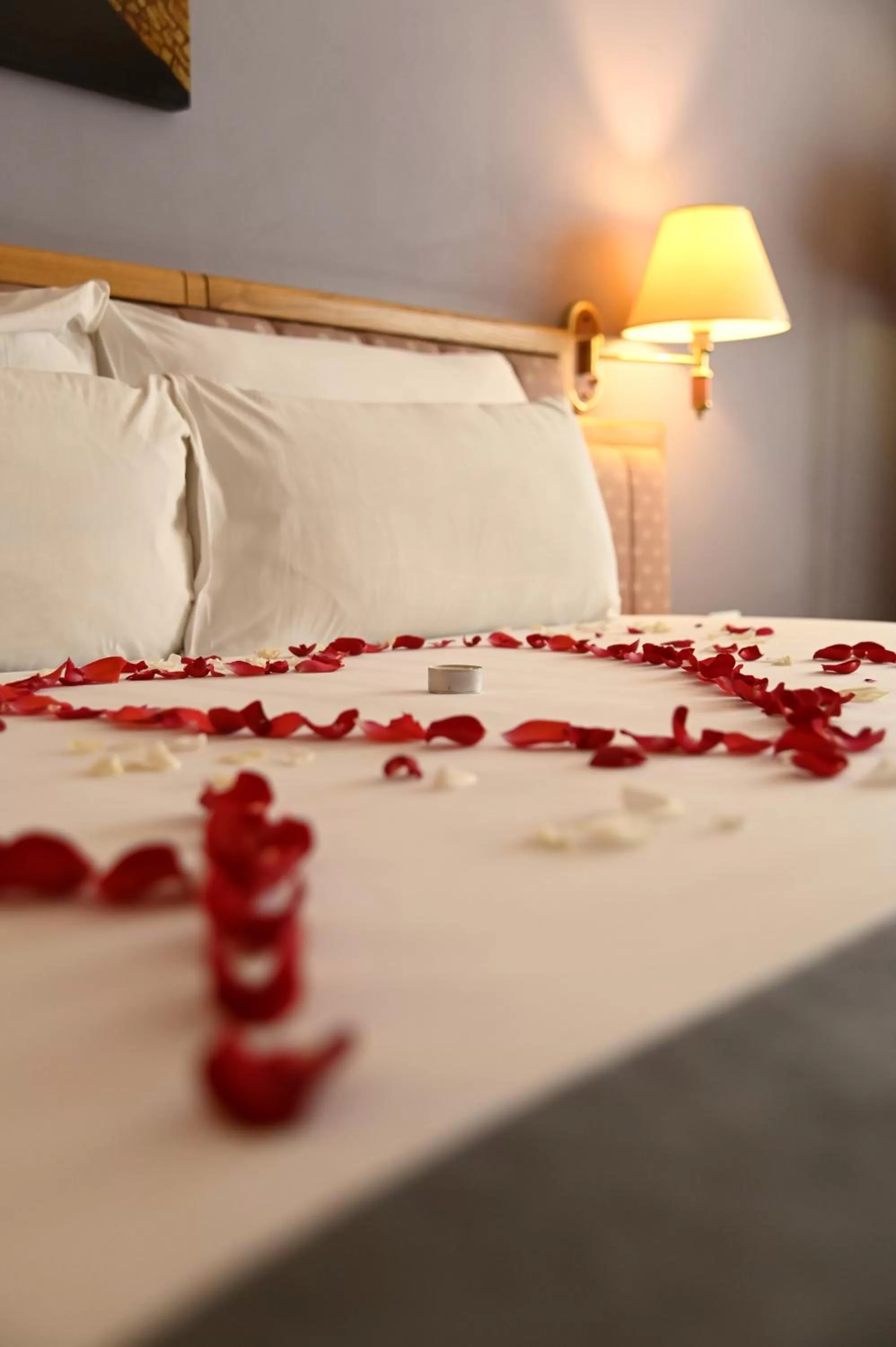 wedding, Bed in Hotel Mercure Alger Aéroport