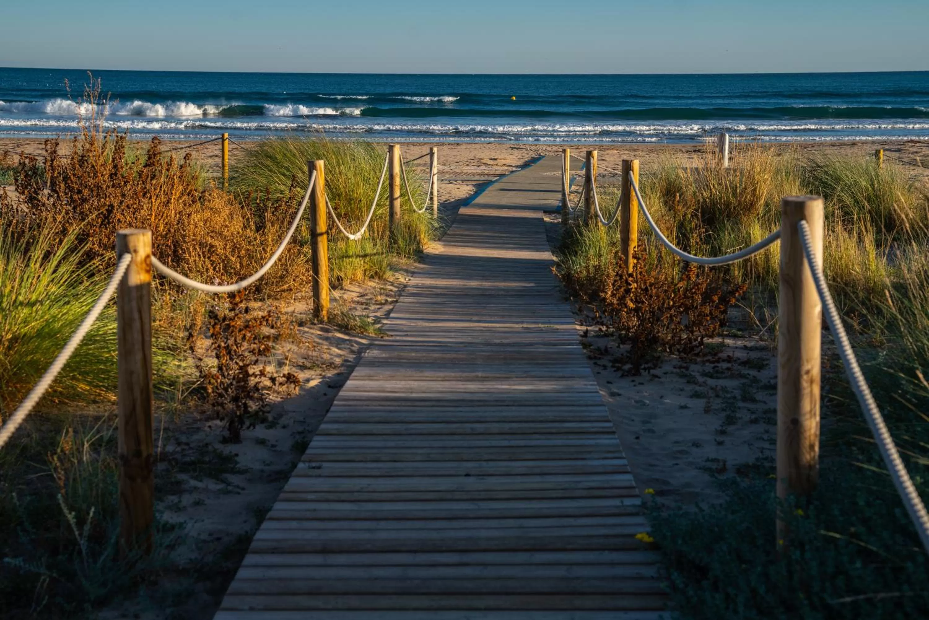 Natural landscape in Atenea Park Suites & Apartments