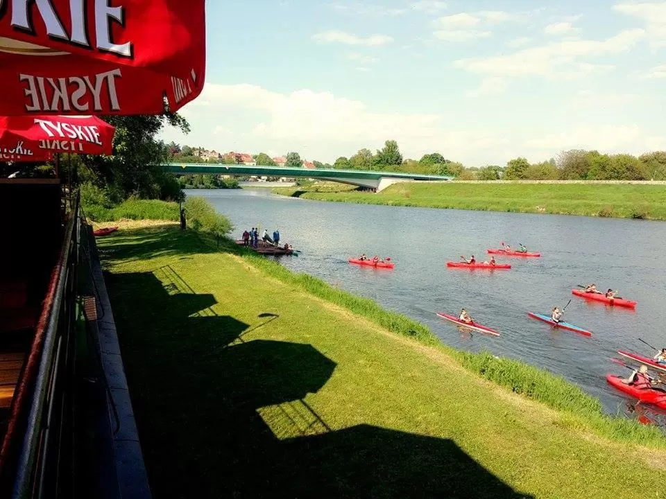 Area and facilities in Hotel Vistula