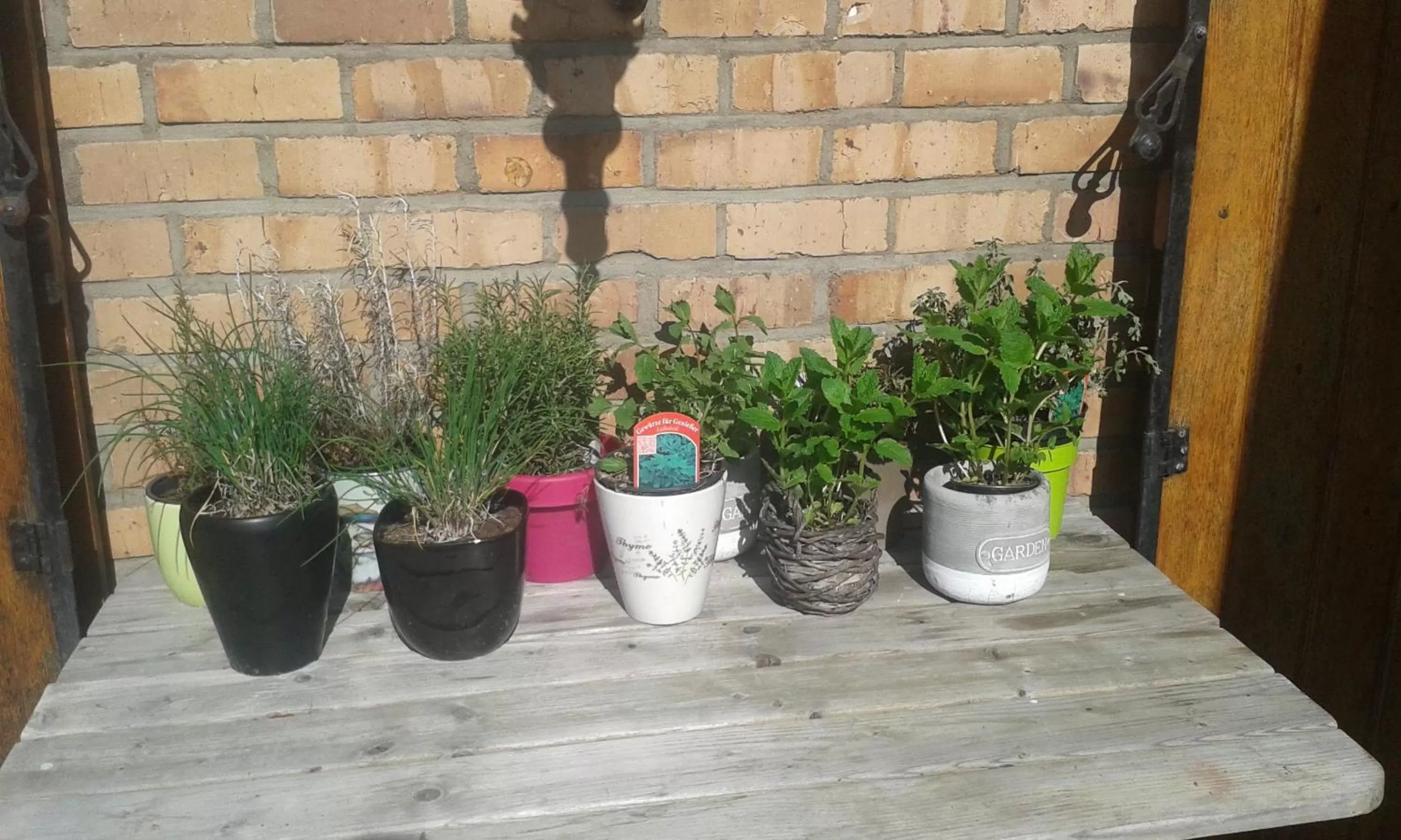 Property building in Villa Lumina