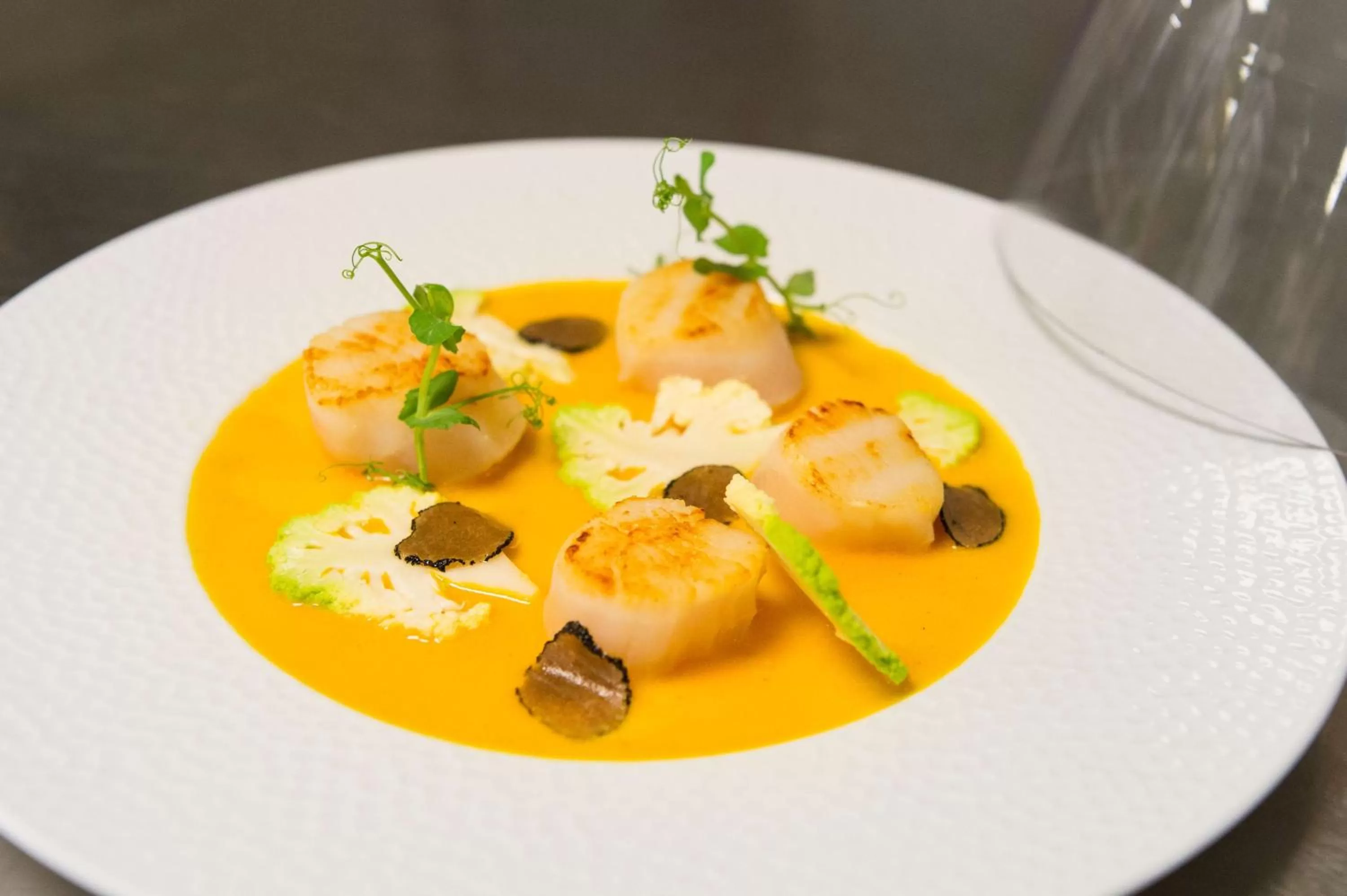 Restaurant/places to eat in Best Western Plus Paris Saclay