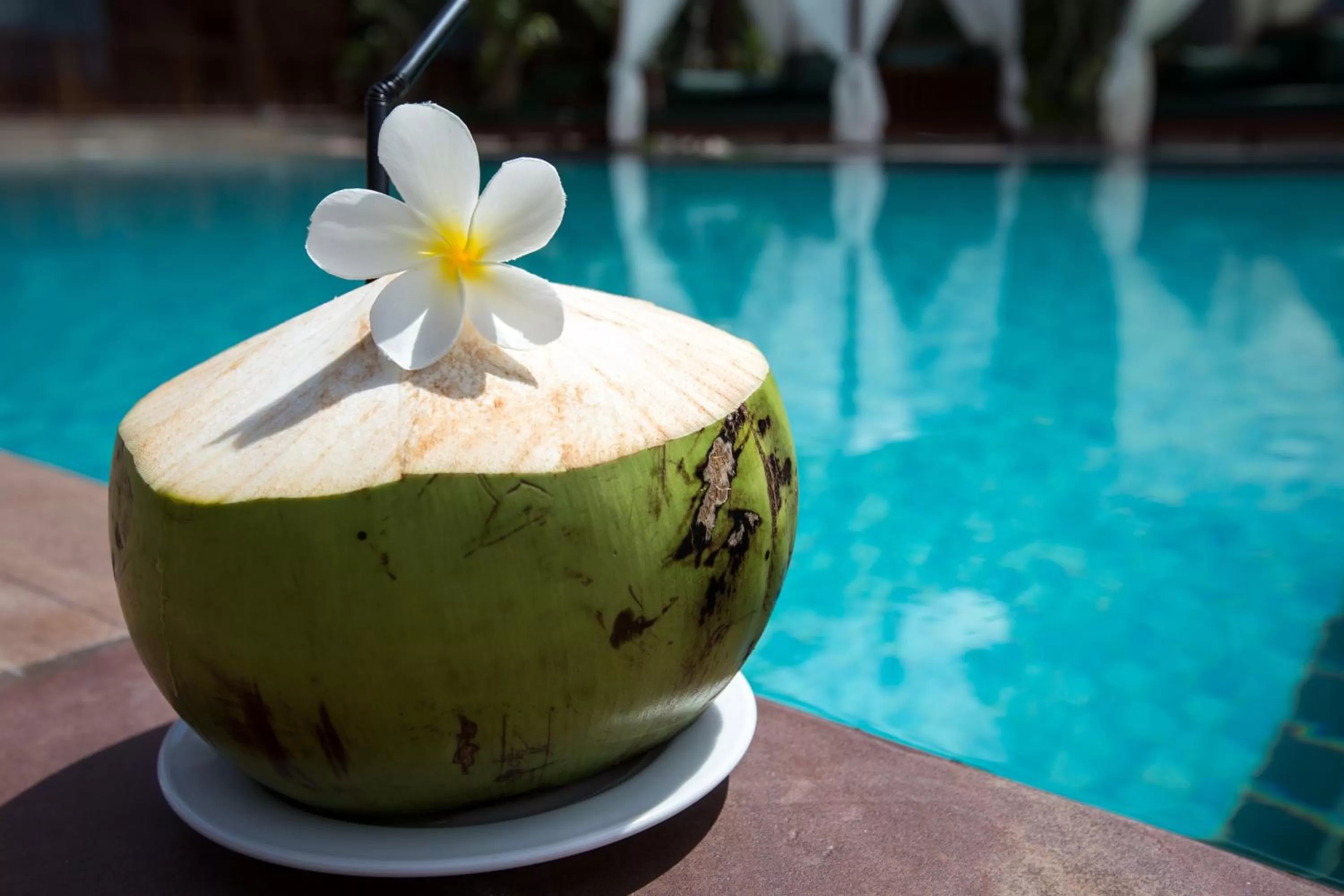 Non alcoholic drinks, Swimming Pool in Model Residence & Spa