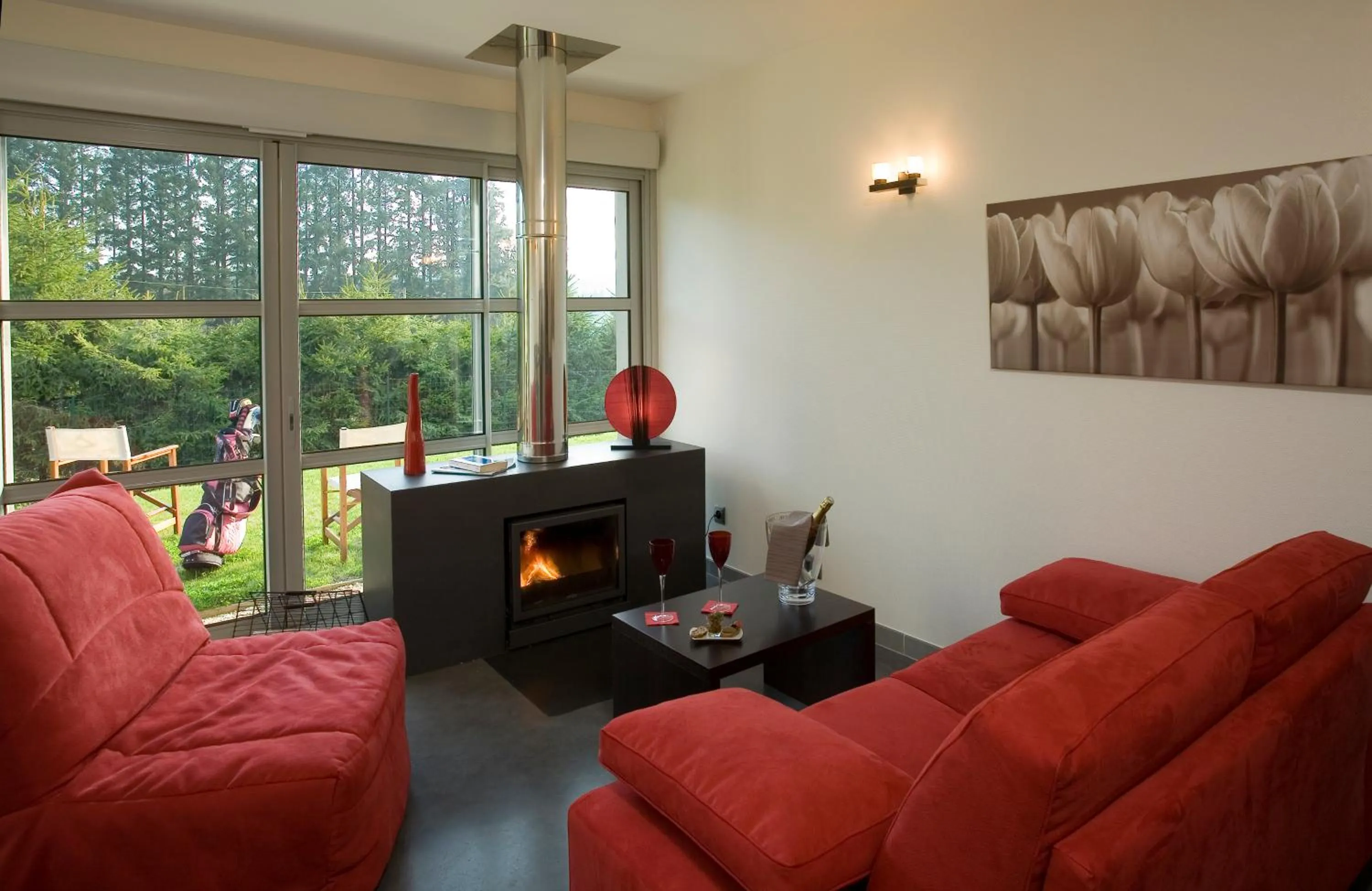 Living room in Bel Horizon