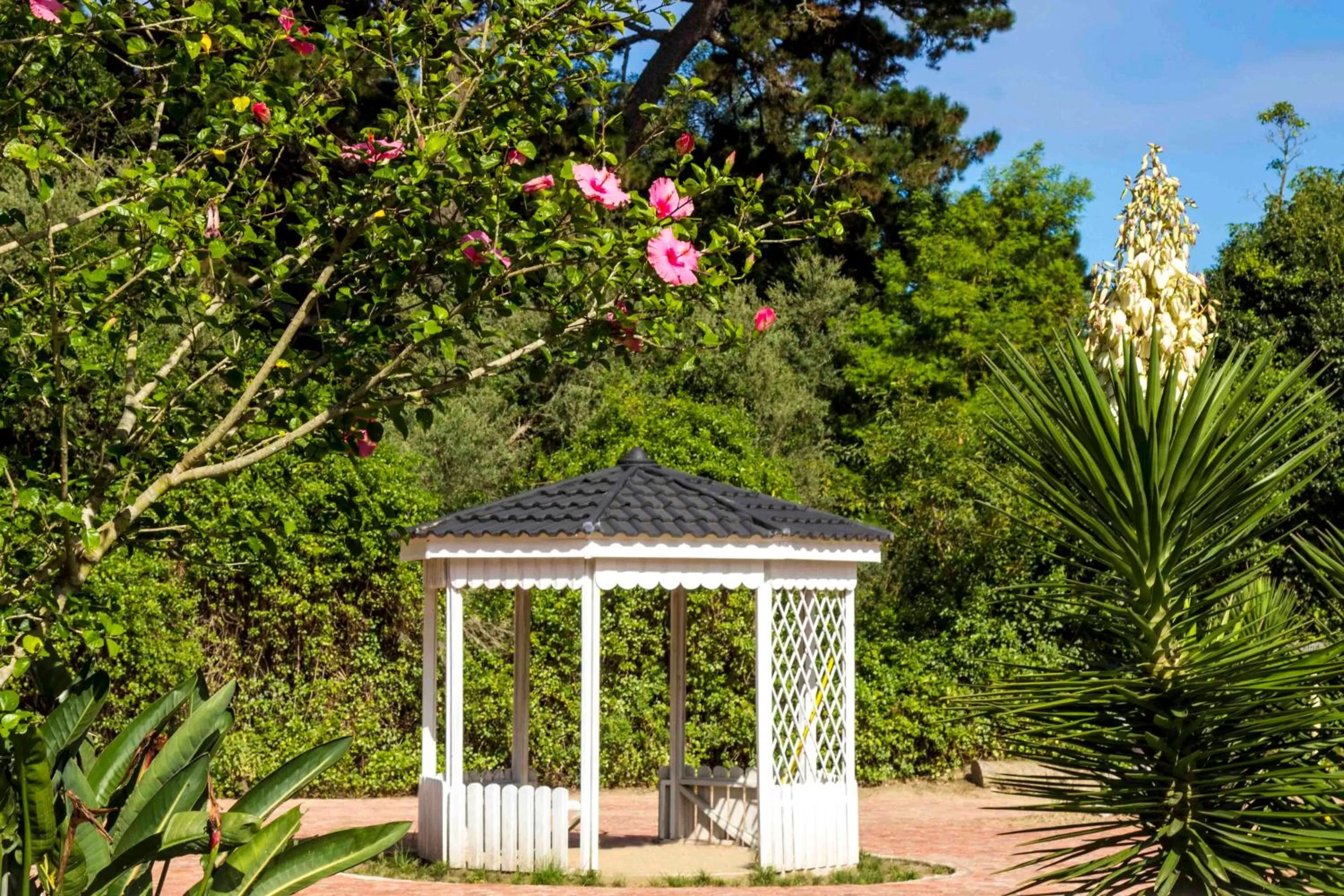 Garden in Victoria Heights B&B