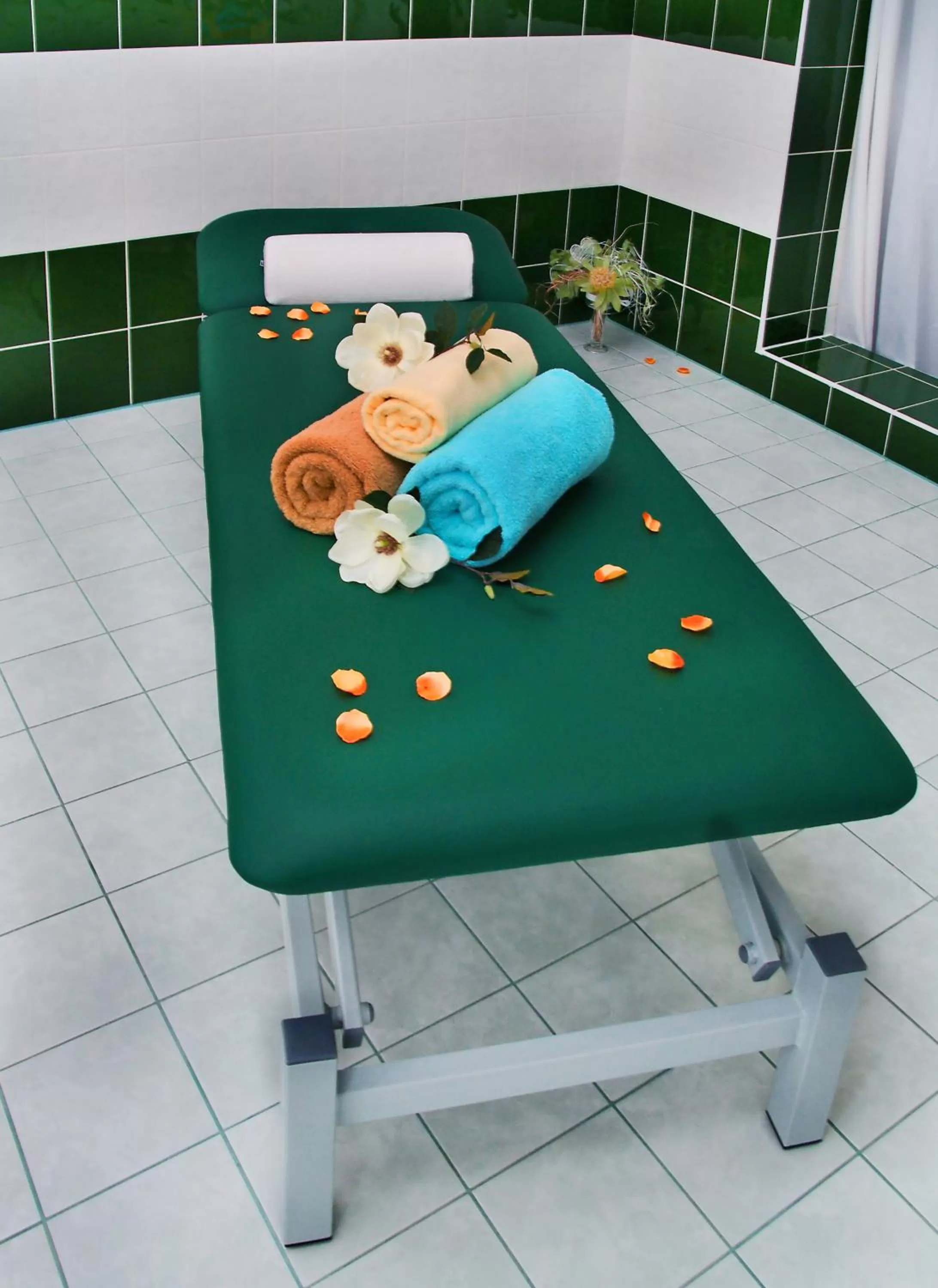 Spa and wellness centre/facilities in Wellness Hotel Ida