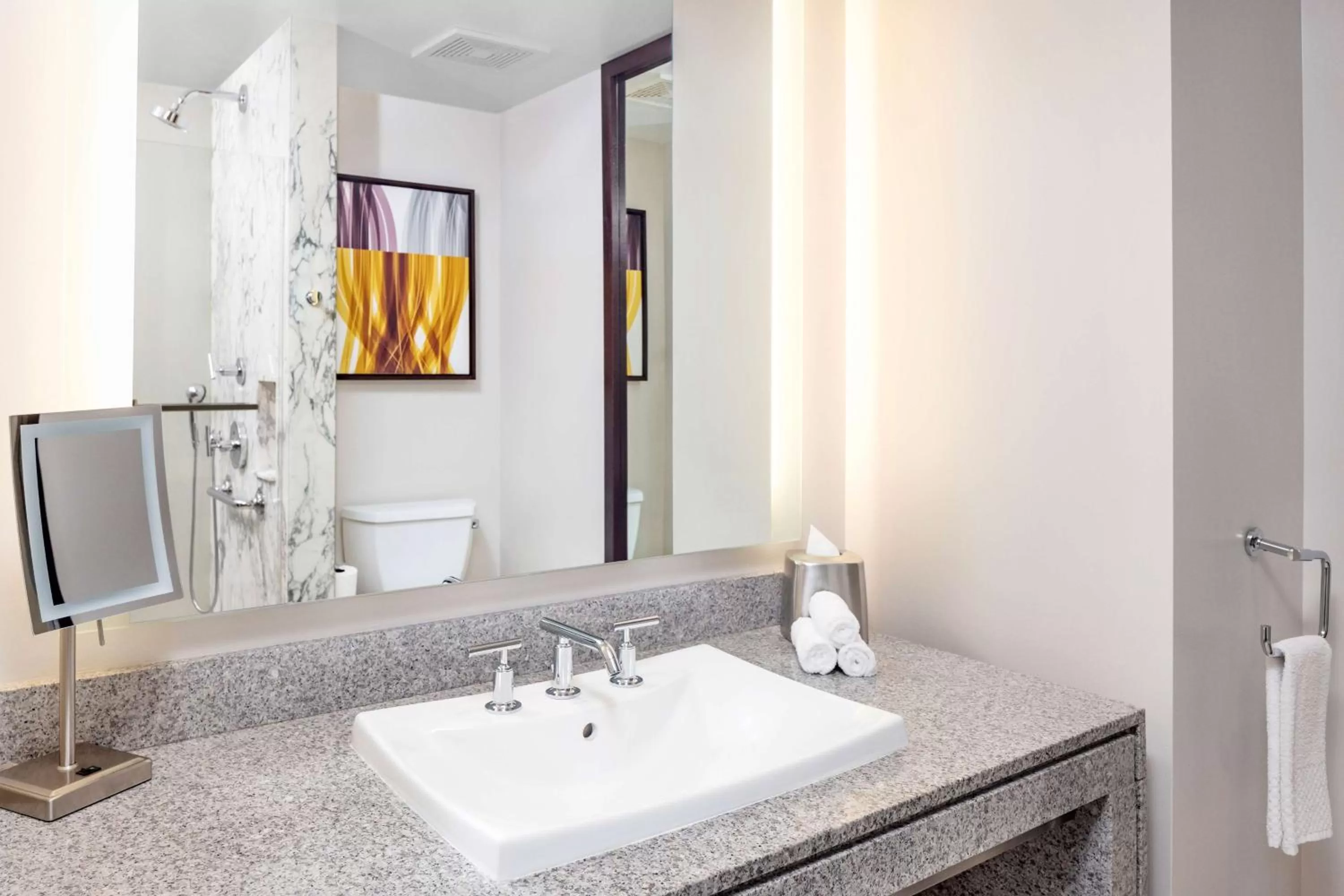 Toilet in Hilton Club West 57th Street New York