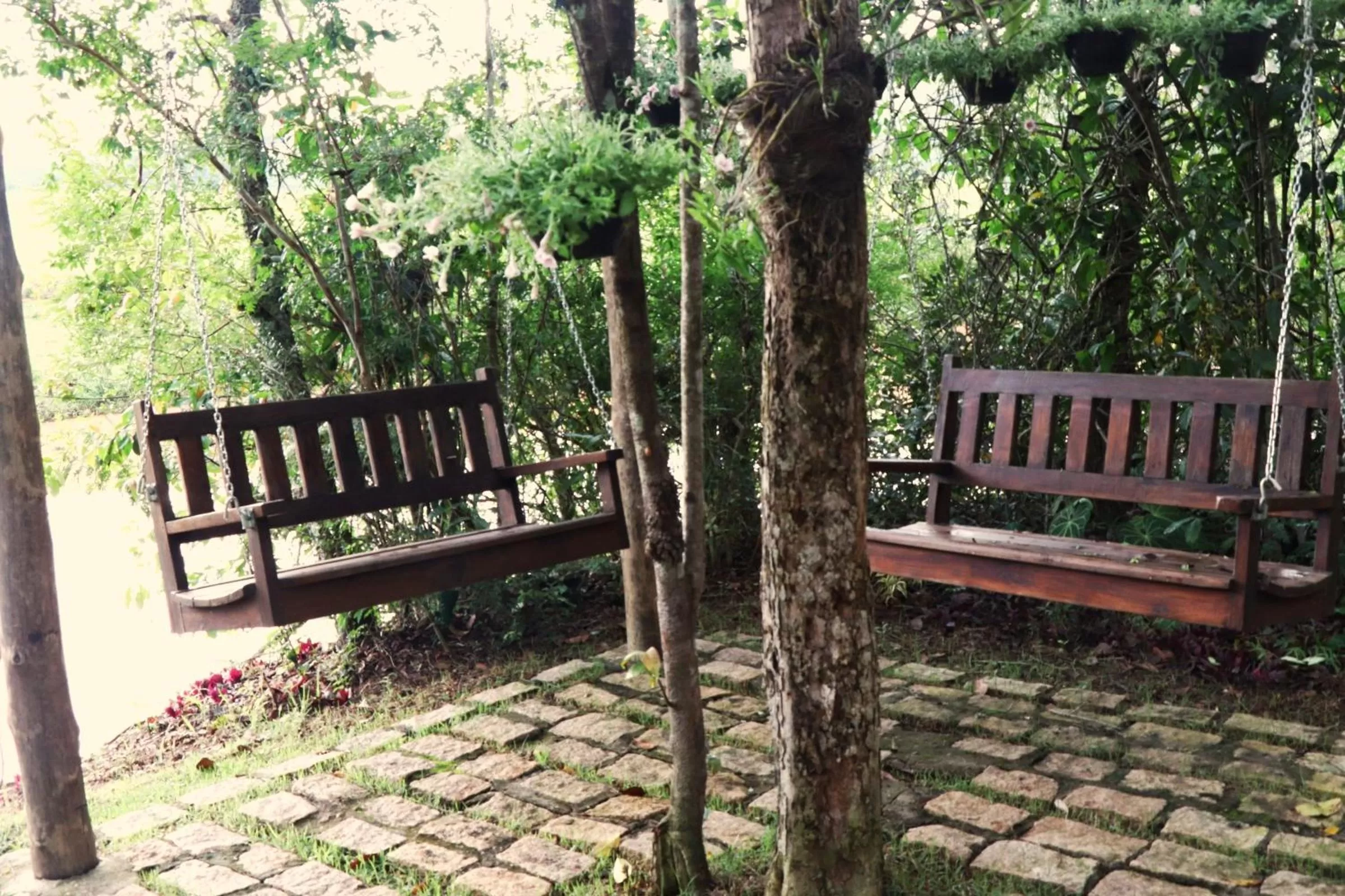 Garden in Pousada Santa Thereza