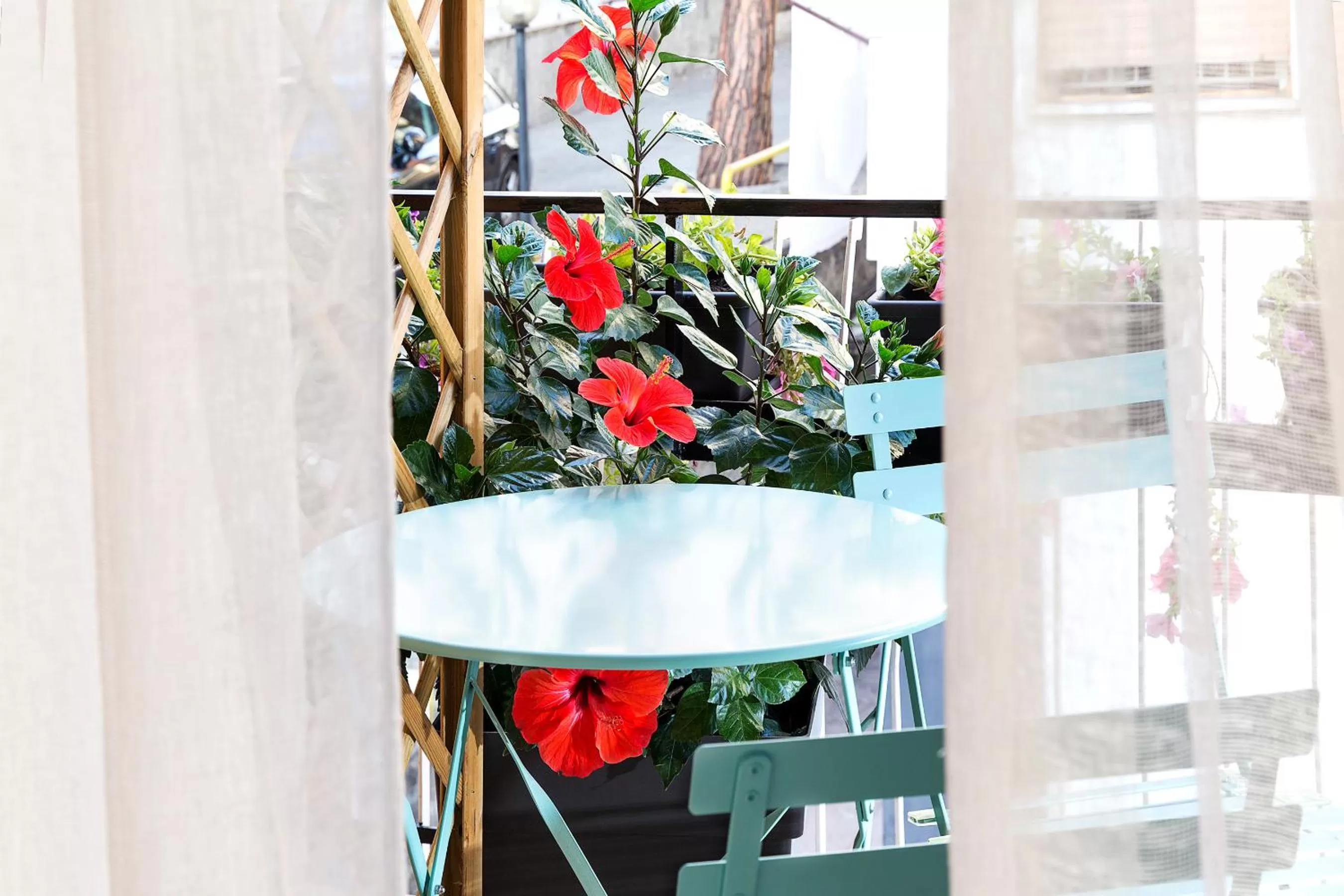 Balcony/Terrace in B&B Cozy Cove