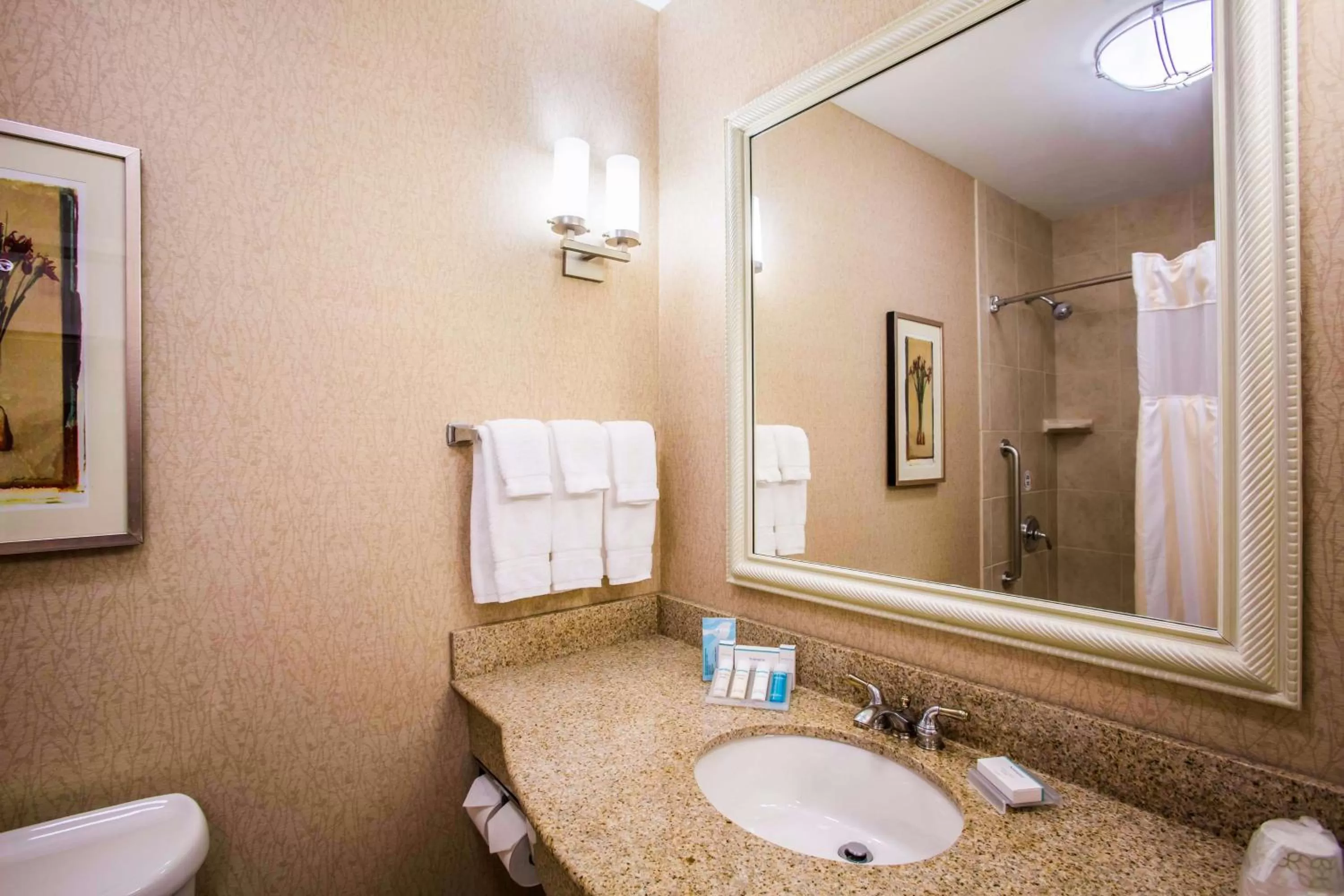 Bathroom in Hilton Garden Inn Milwaukee Northwest Conference Center