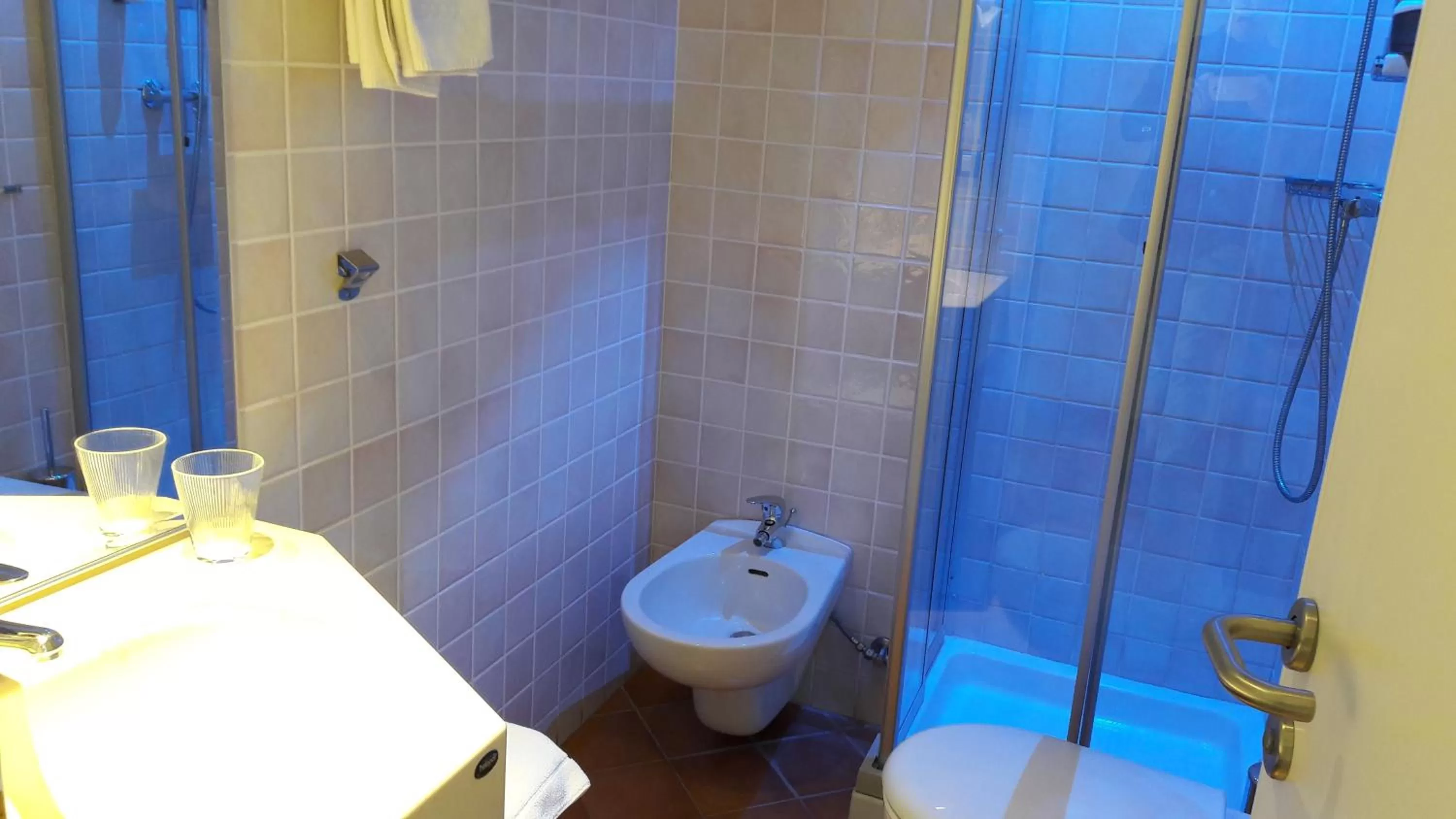 Double Room in Park Hotel San Michele