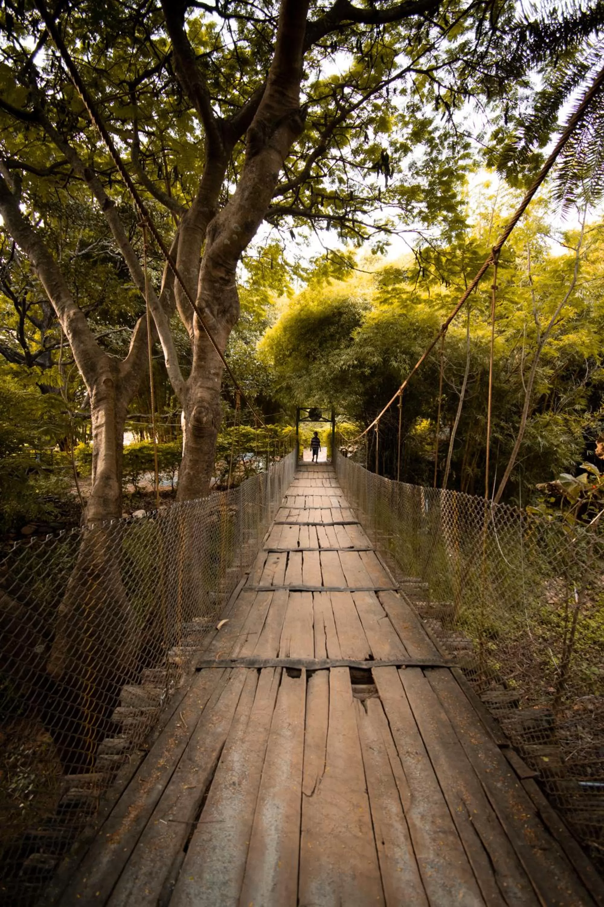 Area and facilities in Commune18 Resort Chikmagalur