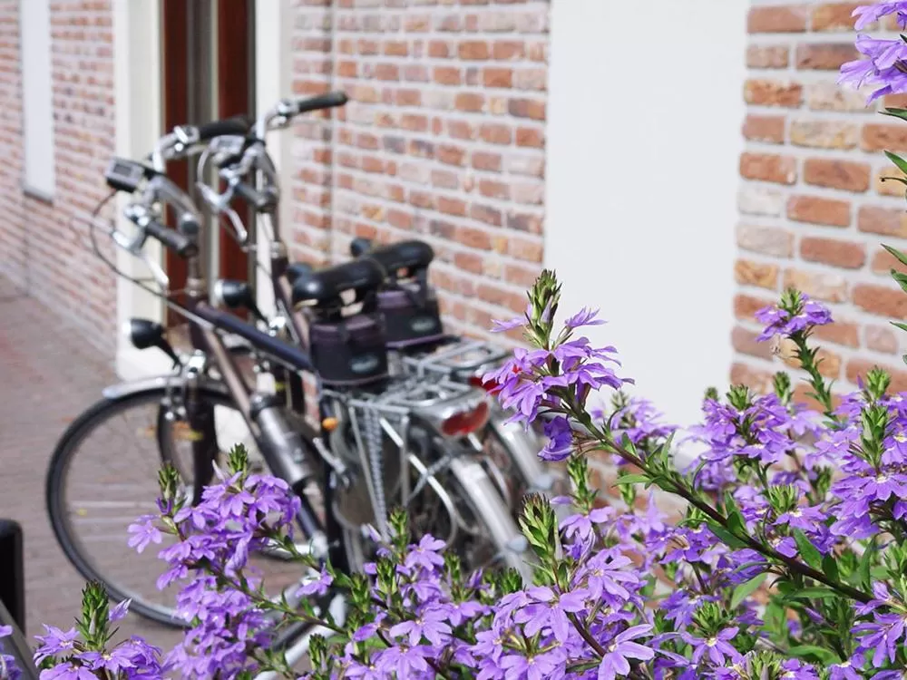 Area and facilities in Hotel Huys van Heusden