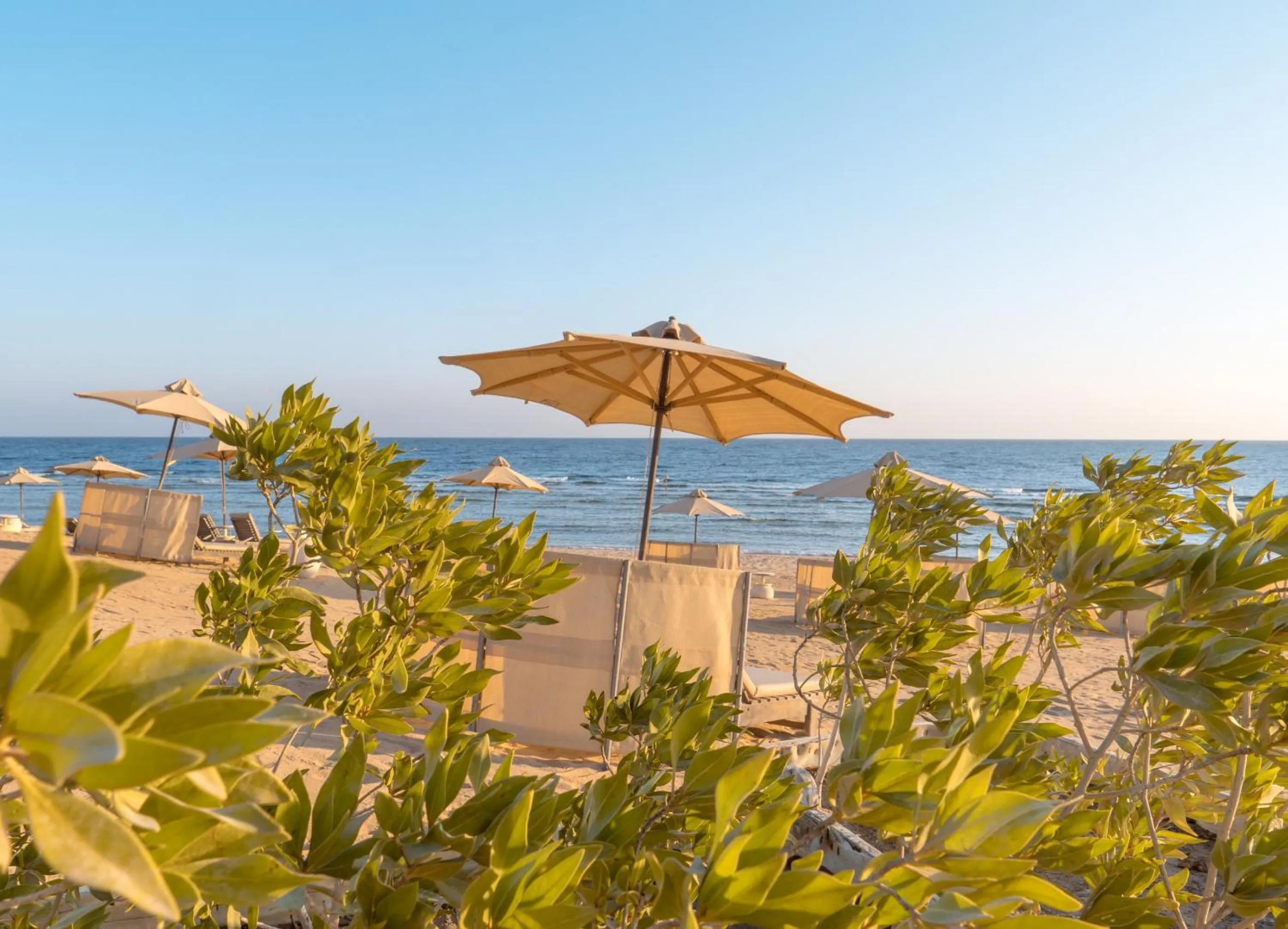 Beach in Serenity Alpha Beach - Ex Serenity Makadi Beach