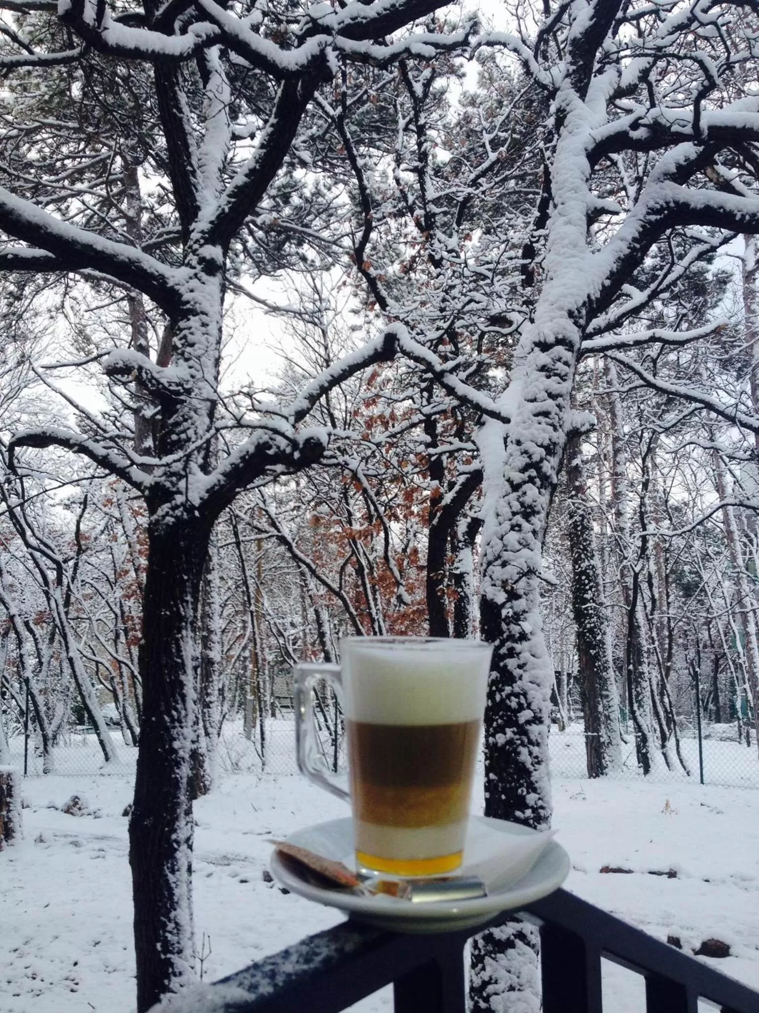 Natural landscape in Hotel Therapia