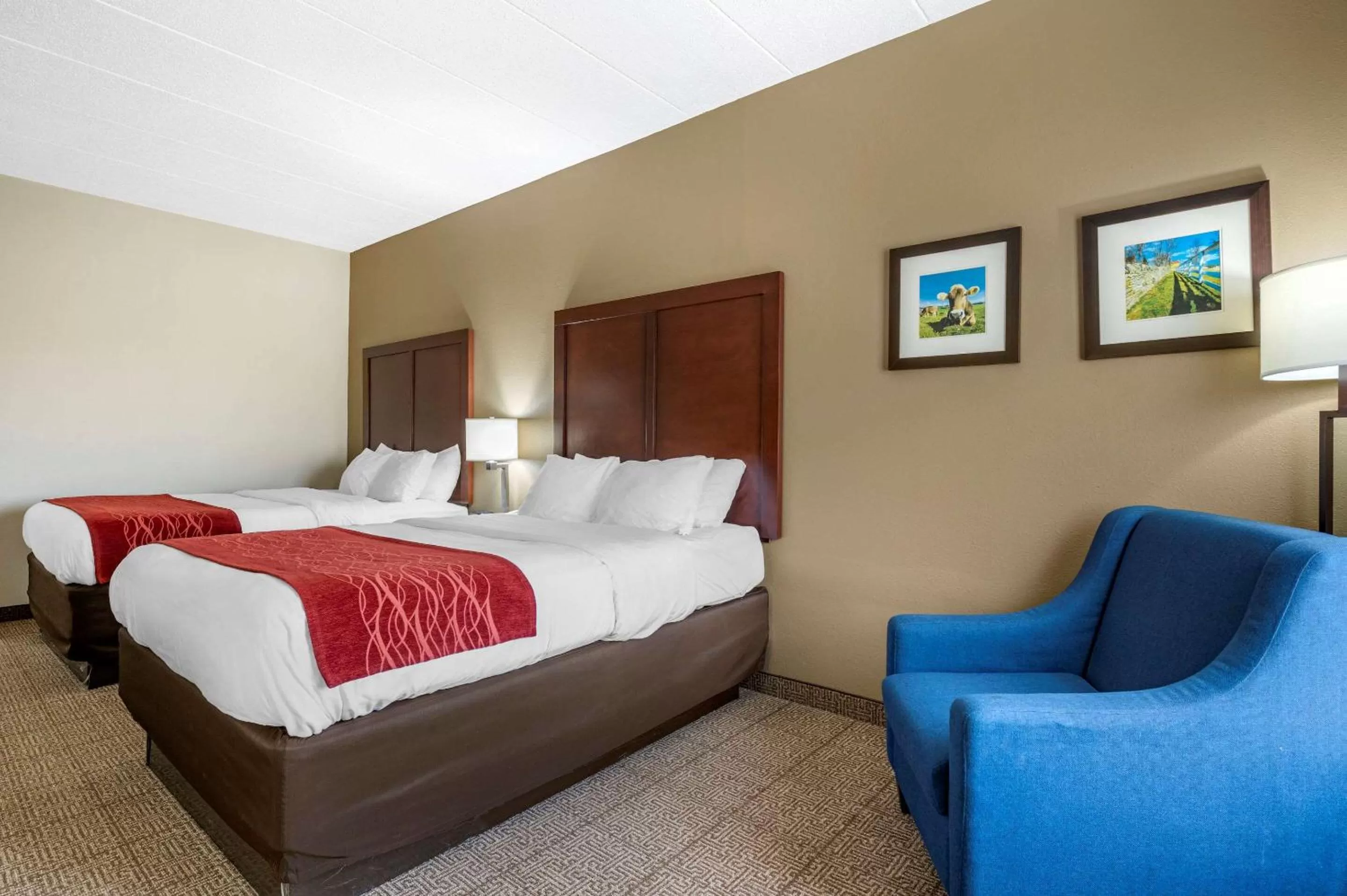 Photo of the whole room, Bed in Comfort Inn Lexington I-75