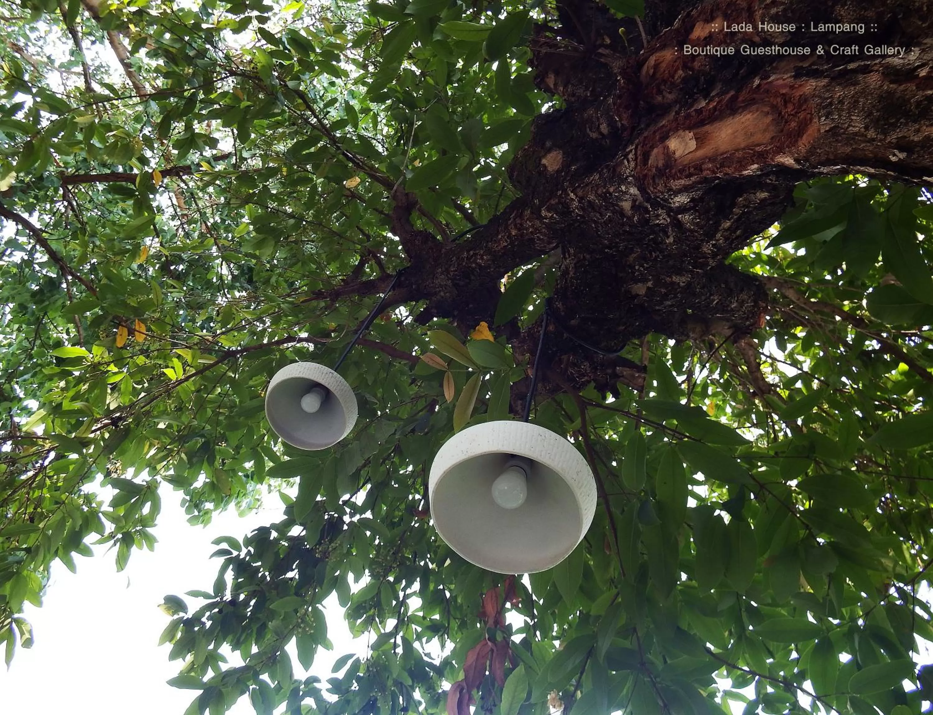 Property building in Lada House