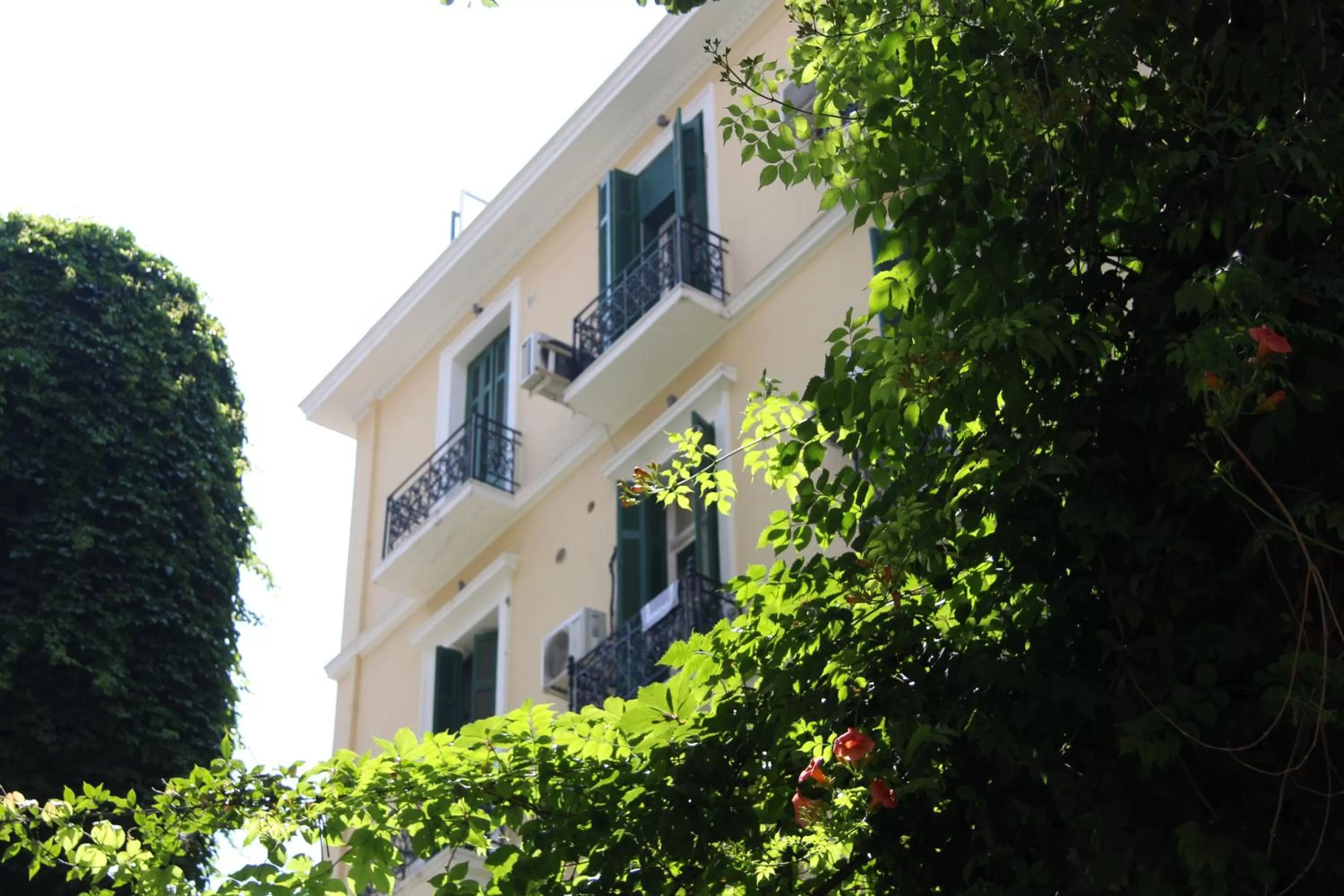 Property building in Elikon