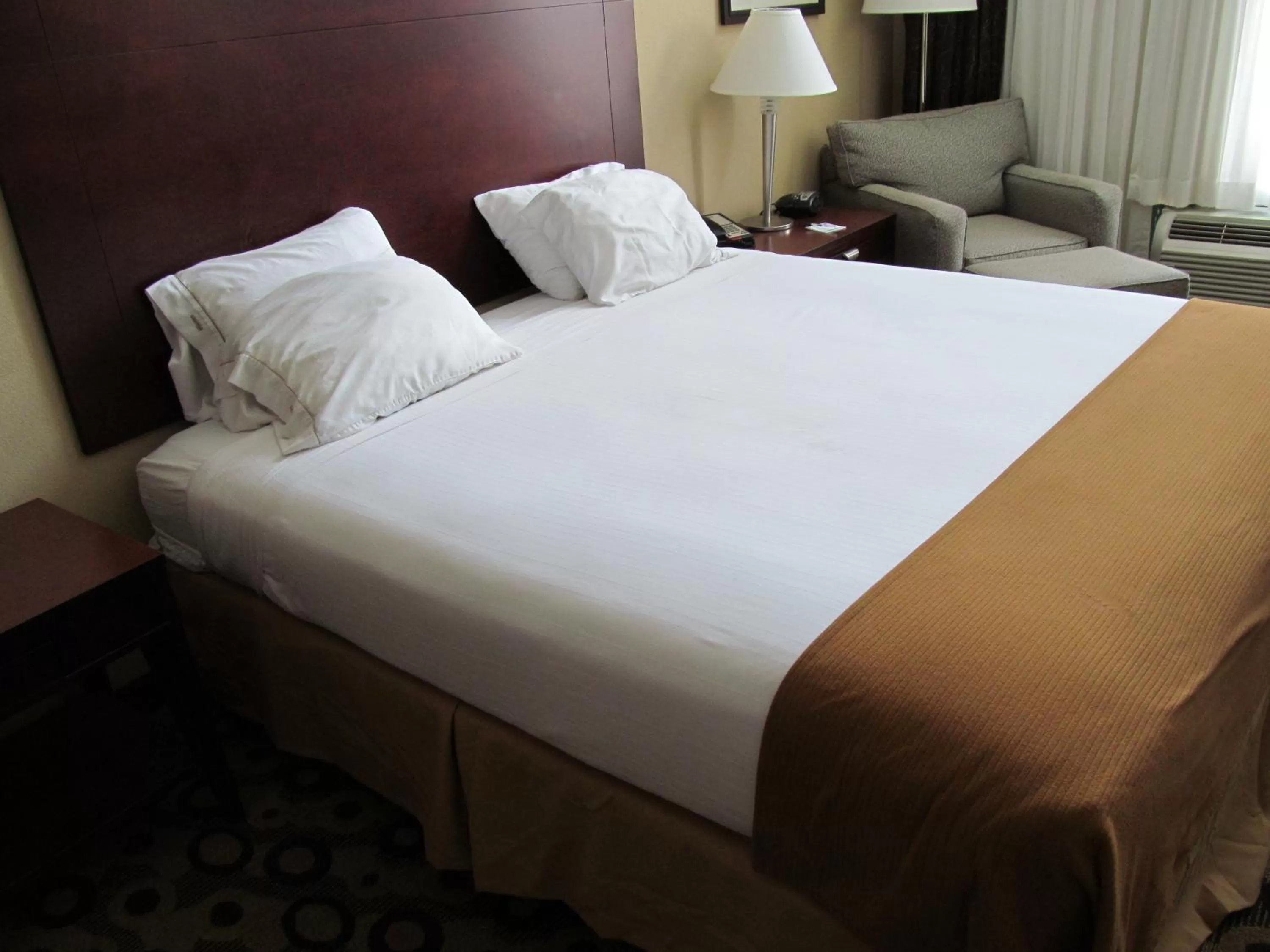 King Room in Holiday Inn Express Hotel & Suites Macon-West, an IHG Hotel