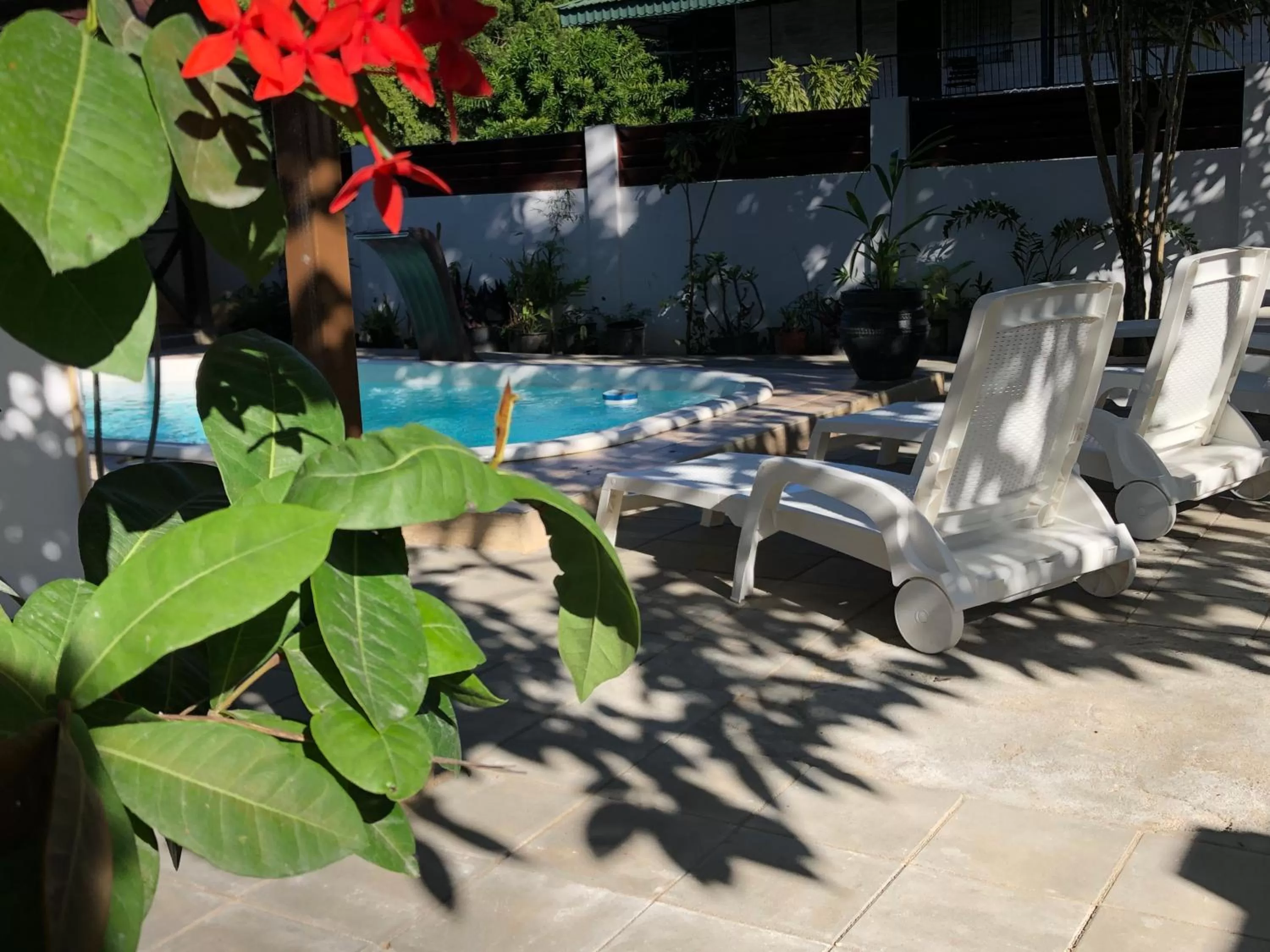 Day in Villa Famiri Boutique hotel