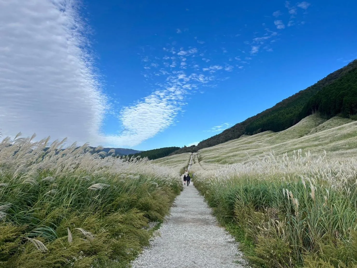Nearby landmark in Fuji-Hakone Guest House