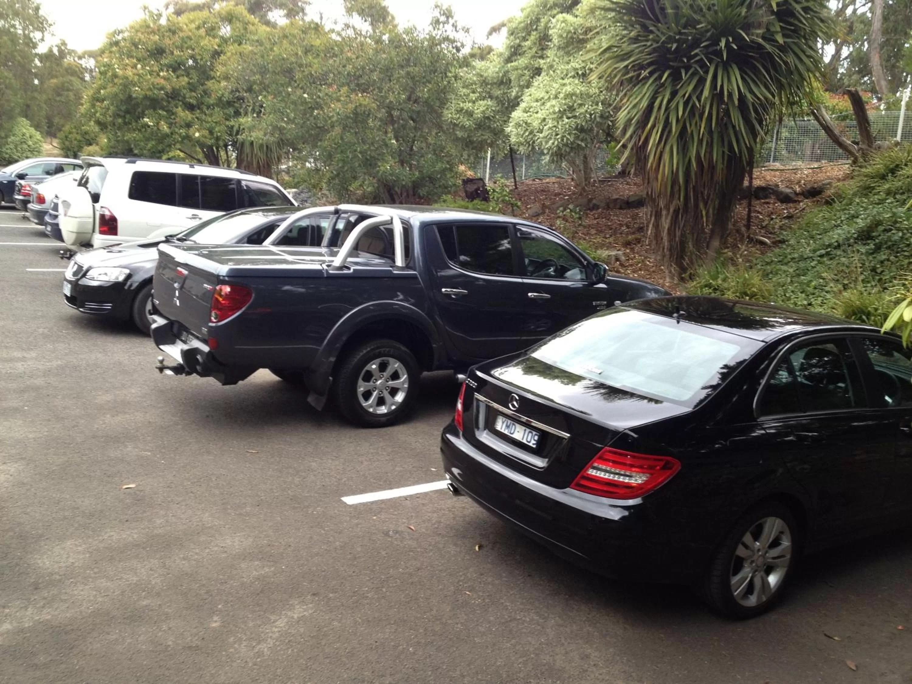 Other in Black Forest Motel