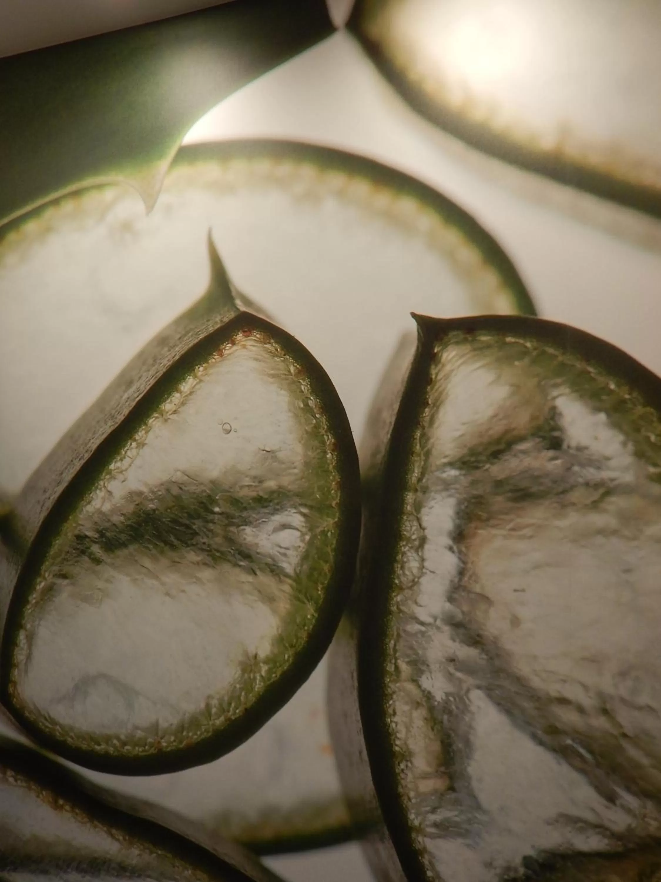 Other in Insel Hotel Bonn - Superior