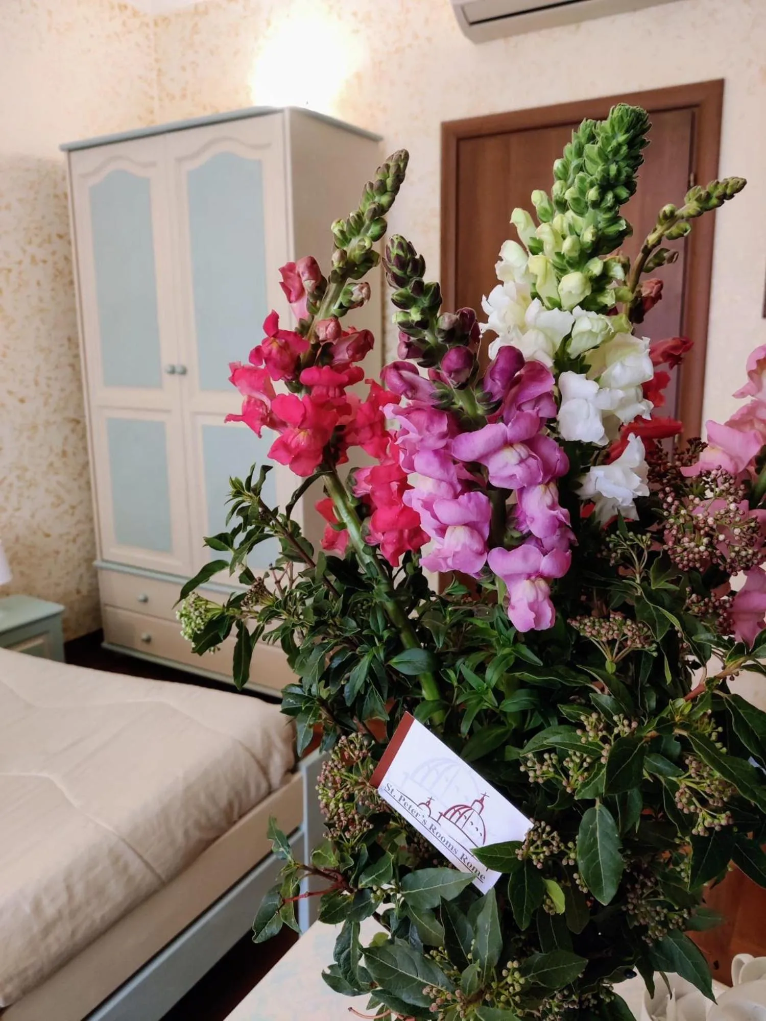 St. Peter's Rooms Rome