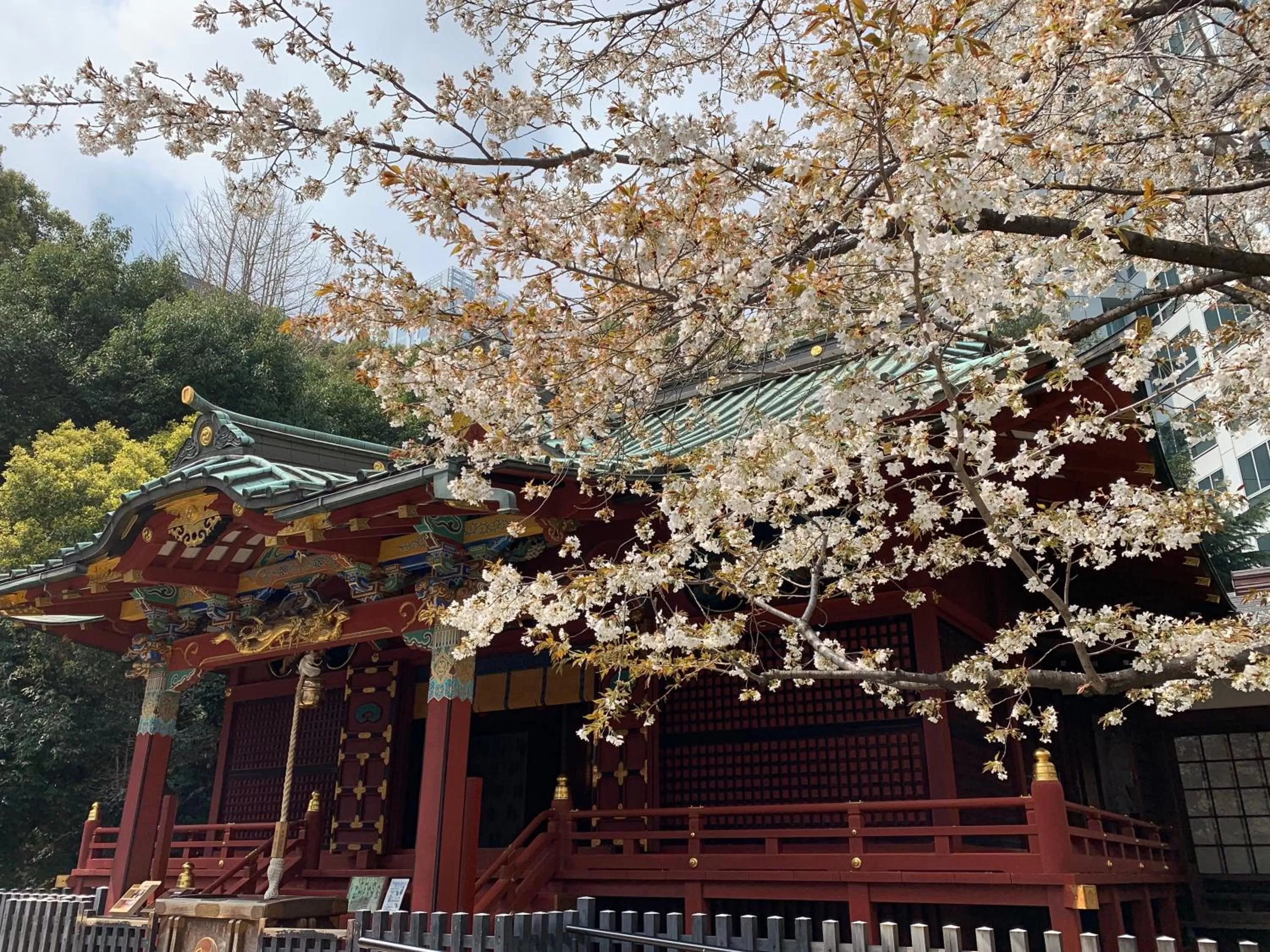 Nearby landmark in APA Hotel Shibuya Dogenzakaue