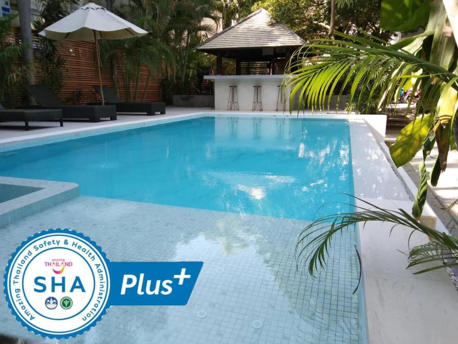 Pool view in Evergreen Resort