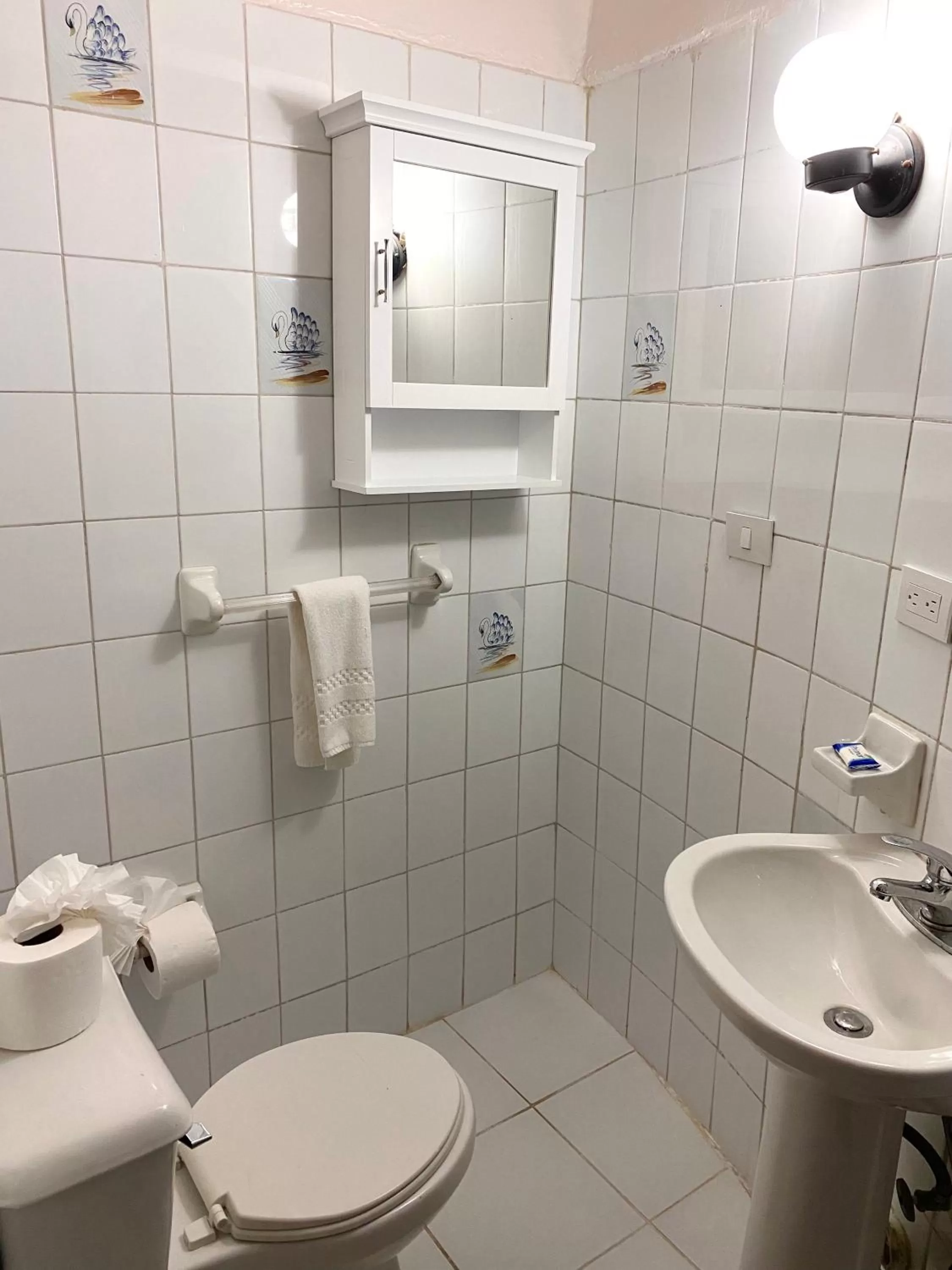 Bathroom in Hotel Alegria