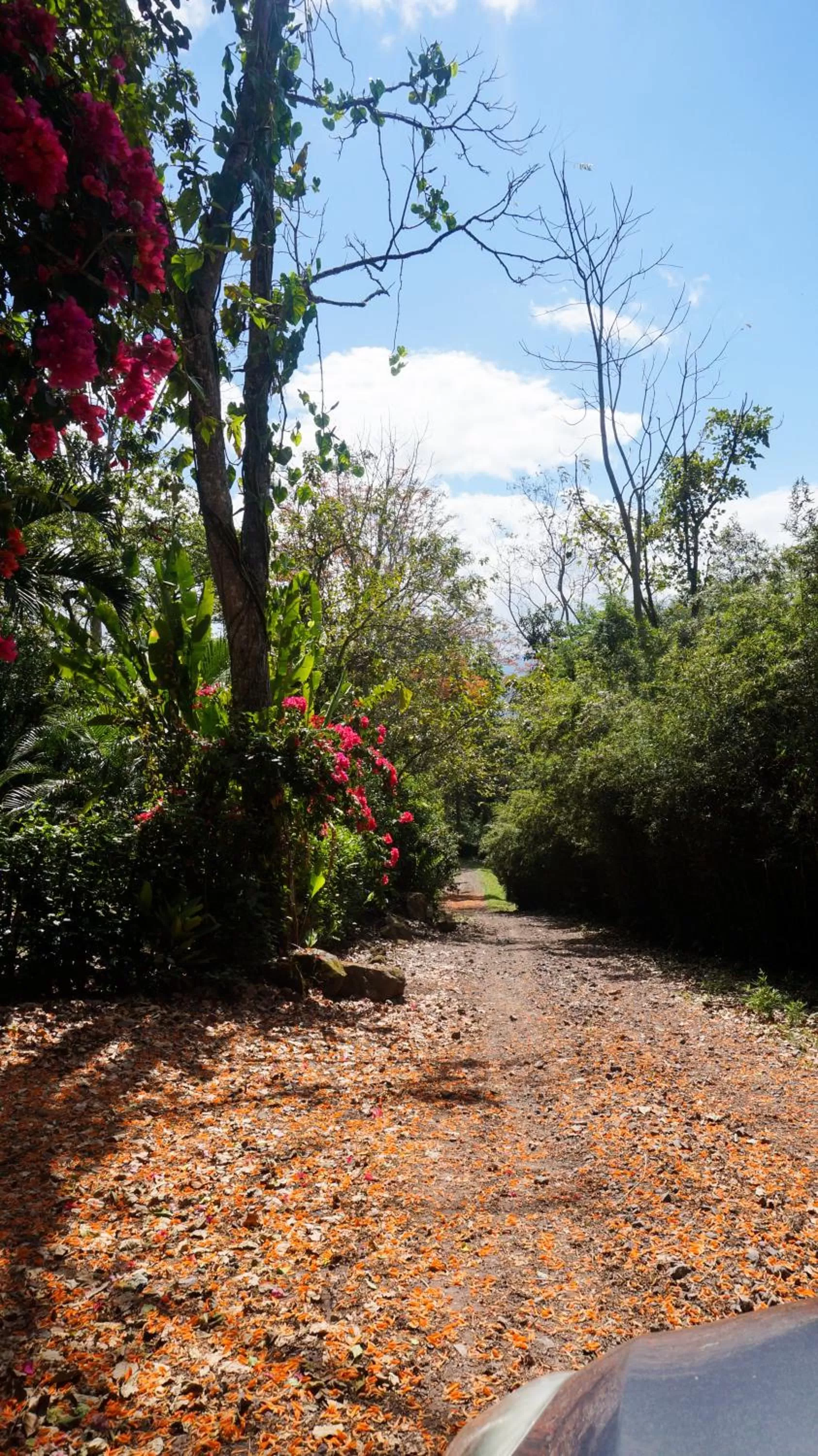 Hiking in Hospedaje La Naciente