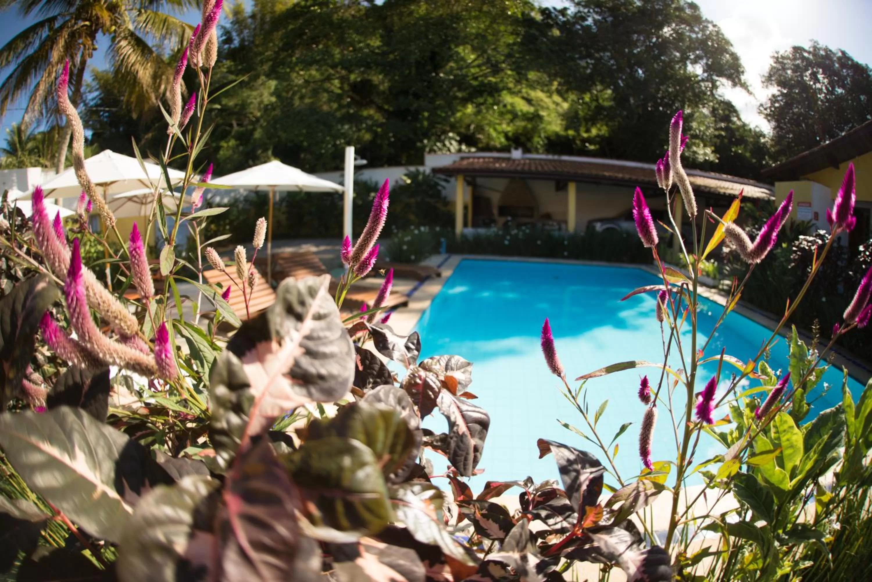 Garden in Pousada Viva Ubatuba